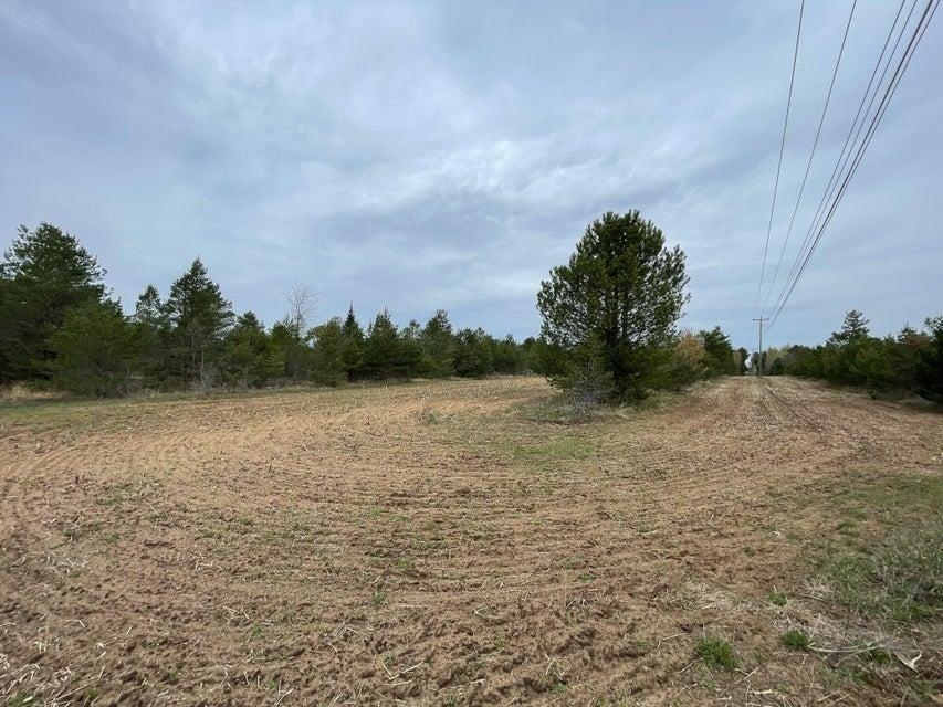 Photo 3 of Land for sale at Tbd Cody Ln, Kalkaska Township Kalkaska, MI 49646 | MLS# 78080073053 | Listing updated on 2026-09-18