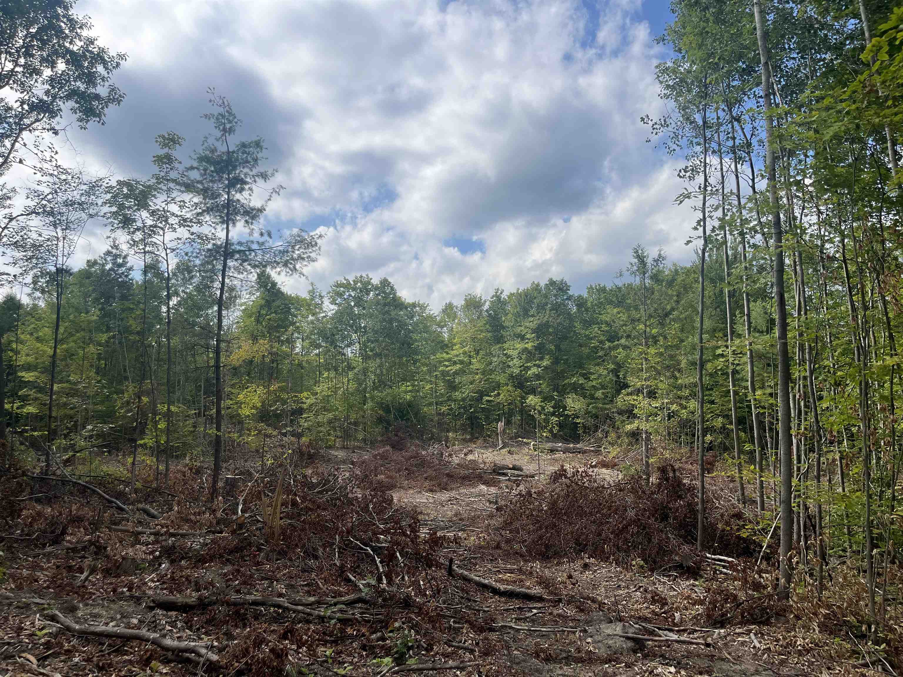 Photo 3 of Land for sale at 7 Mile Rd, Lake City, MI 49651 | MLS# 80073152 | Listing updated on 2026-09-05