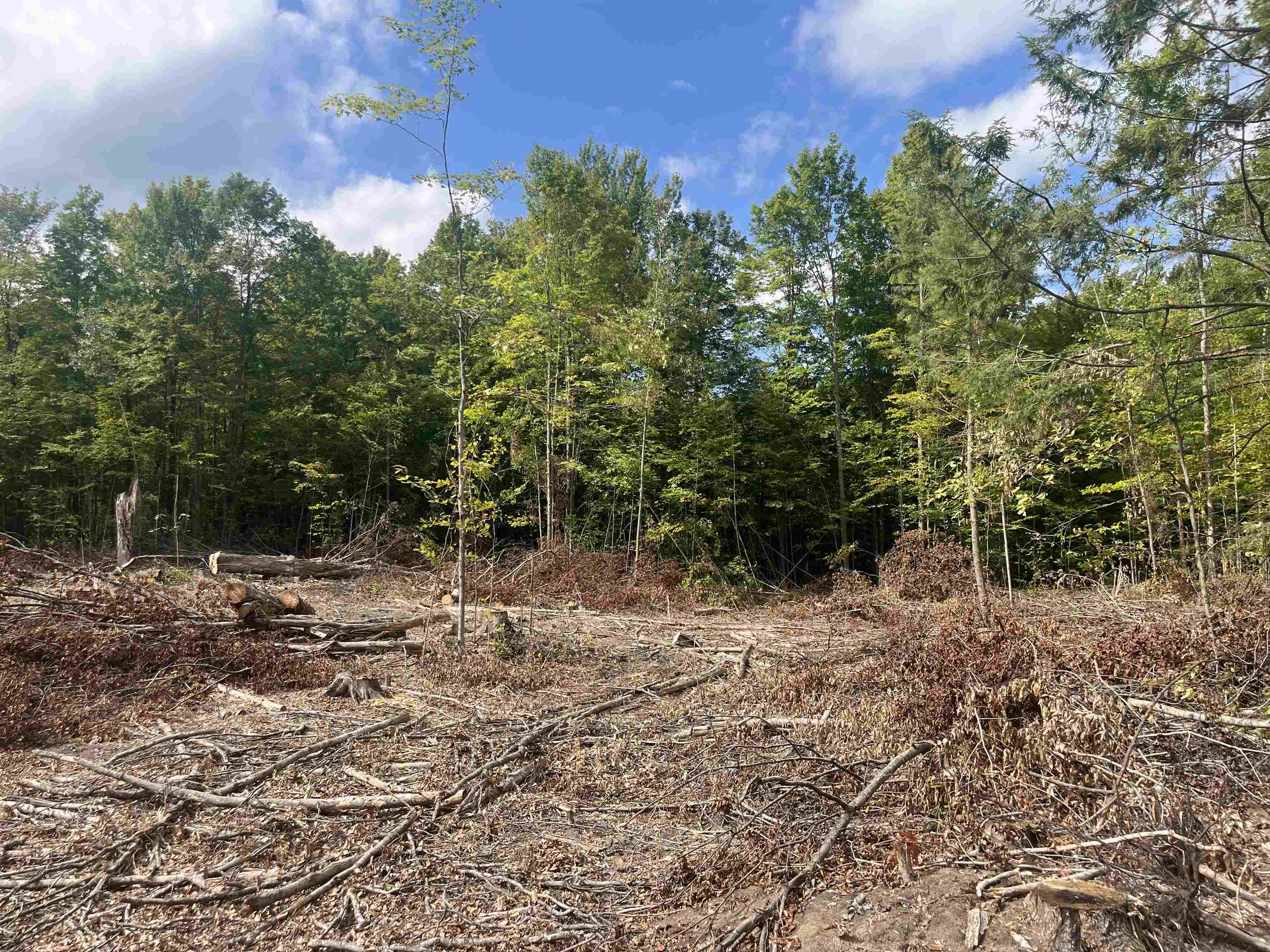Photo 4 of Land for sale at 7 Mile Rd, Lake City, MI 49651 | MLS# 80073152 | Listing updated on 2026-09-05