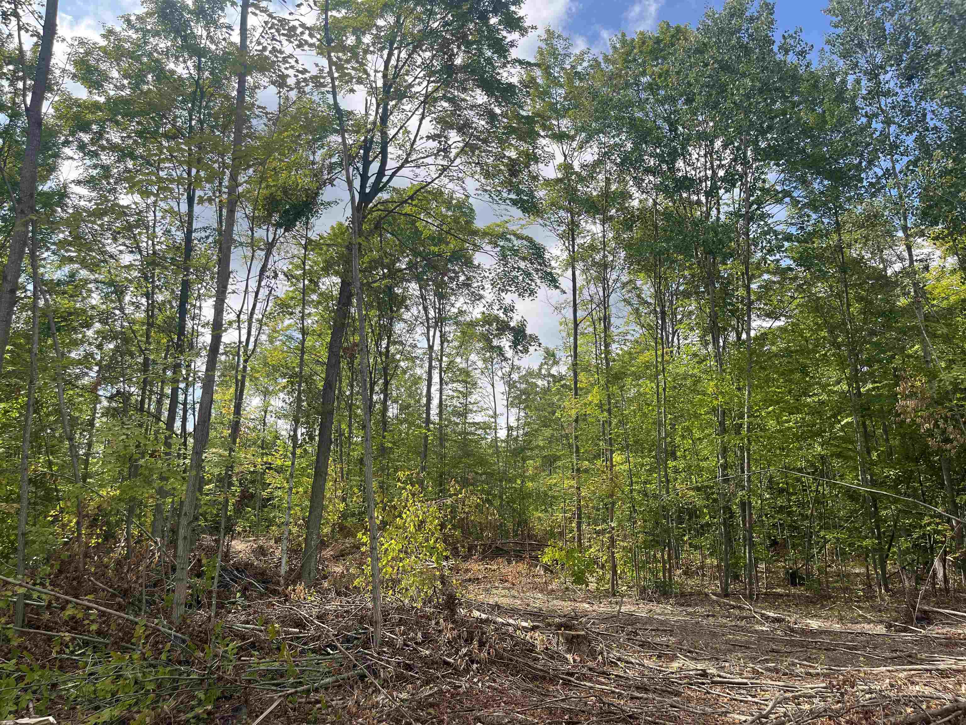 Photo 5 of Land for sale at 7 Mile Rd, Lake City, MI 49651 | MLS# 80073152 | Listing updated on 2026-09-05