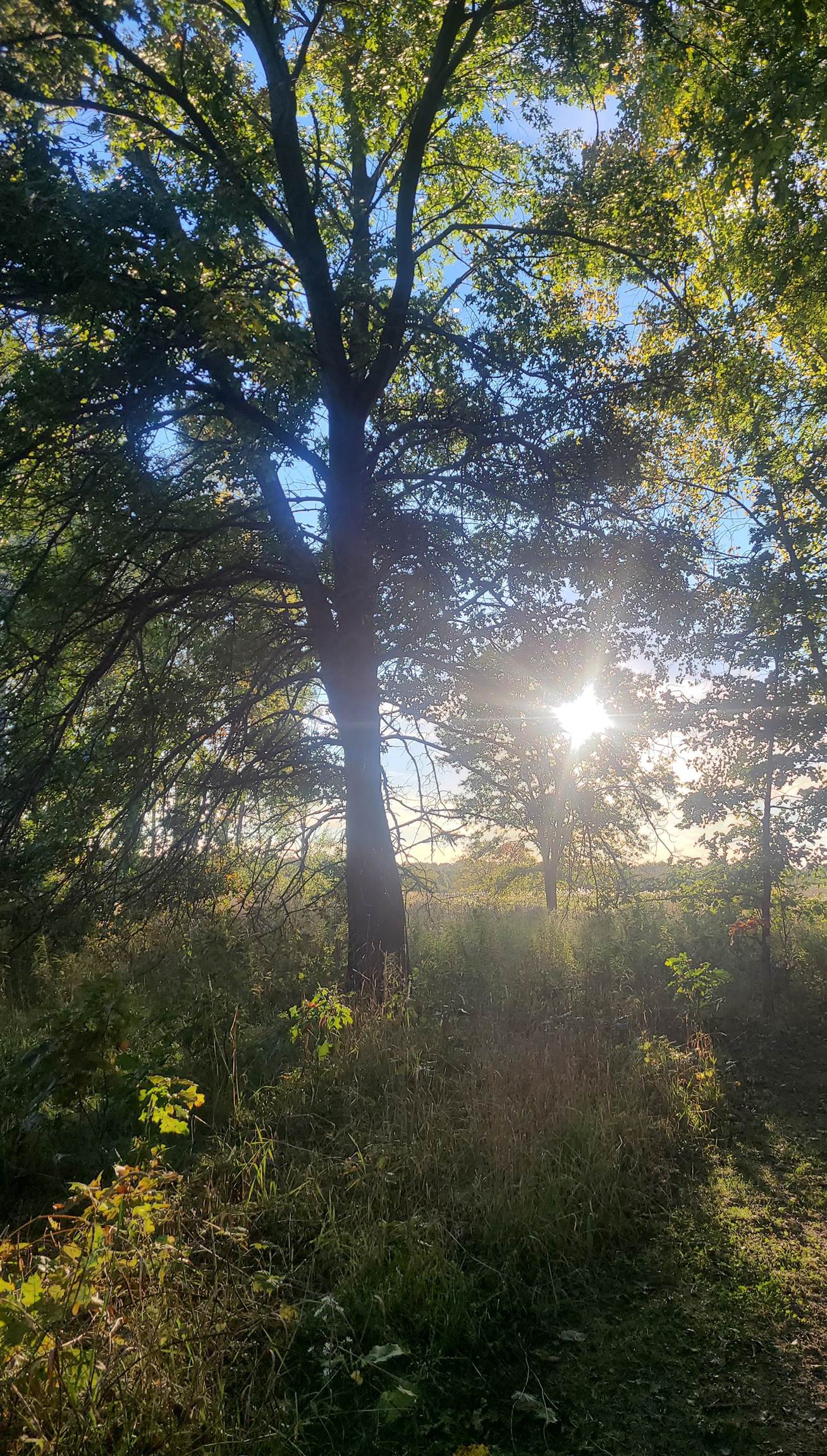 Photo 3 of Land for sale at M 48, Pickford Township Chippewa, MI 49774 | MLS# 78080073172 | Listing updated on 2026-09-17