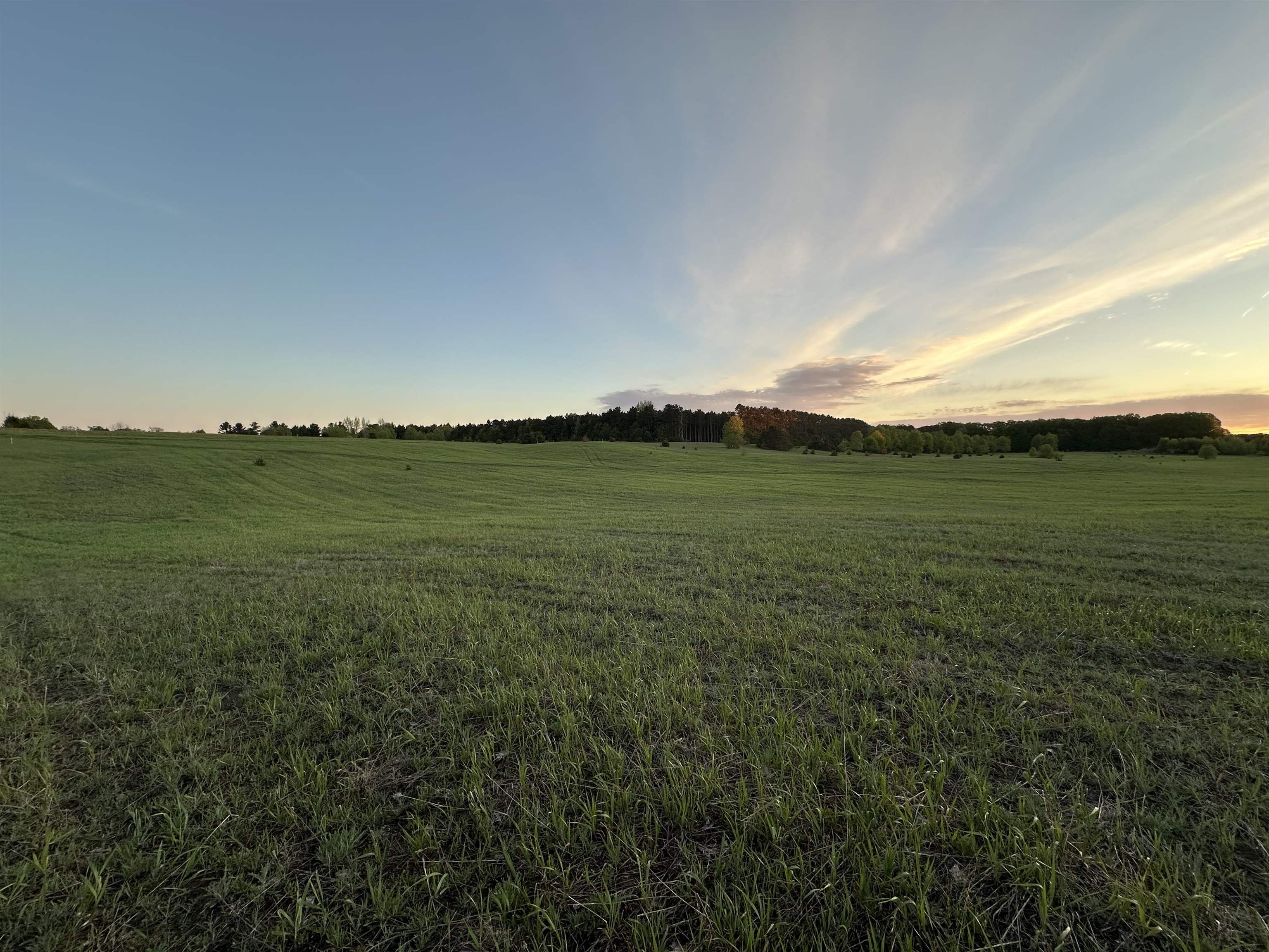 Photo 1 of Land for sale at 10 Acres V/l Honor Hwy, Interlochen, MI 49643 | MLS# 80073284 | Listing updated on 2026-09-15