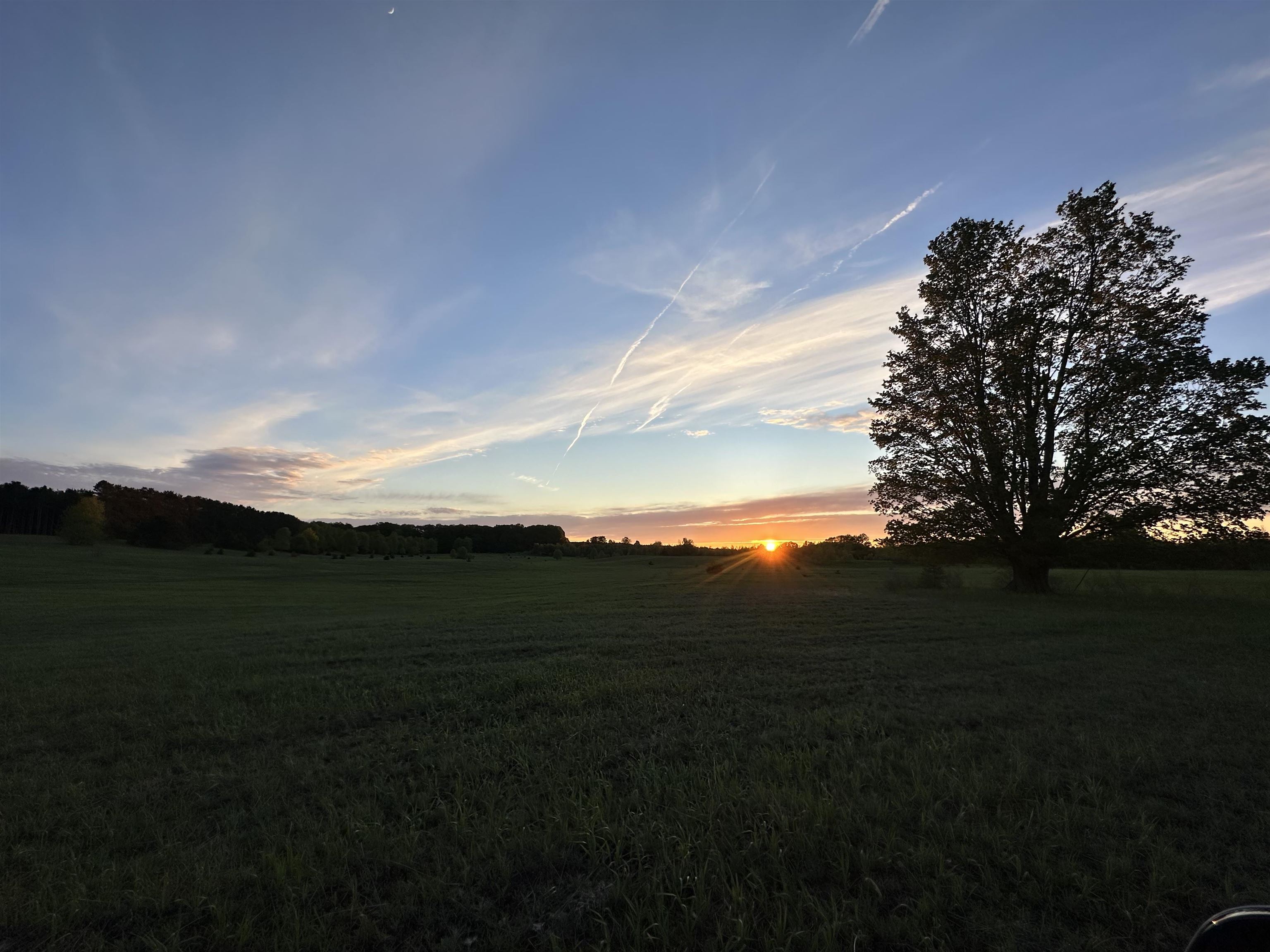 Photo 2 of Land for sale at 10 Acres V/l Honor Hwy, Interlochen, MI 49643 | MLS# 80073284 | Listing updated on 2026-09-15