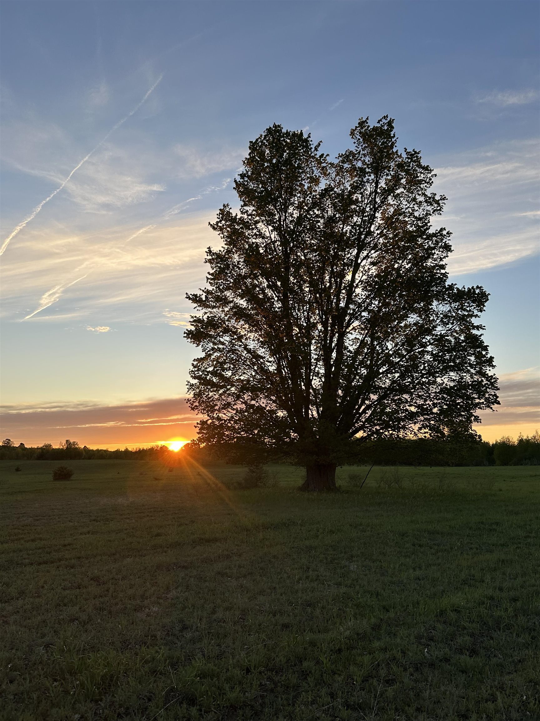 Photo 3 of Land for sale at 10 Acres V/l Honor Hwy, Interlochen, MI 49643 | MLS# 80073284 | Listing updated on 2026-09-15