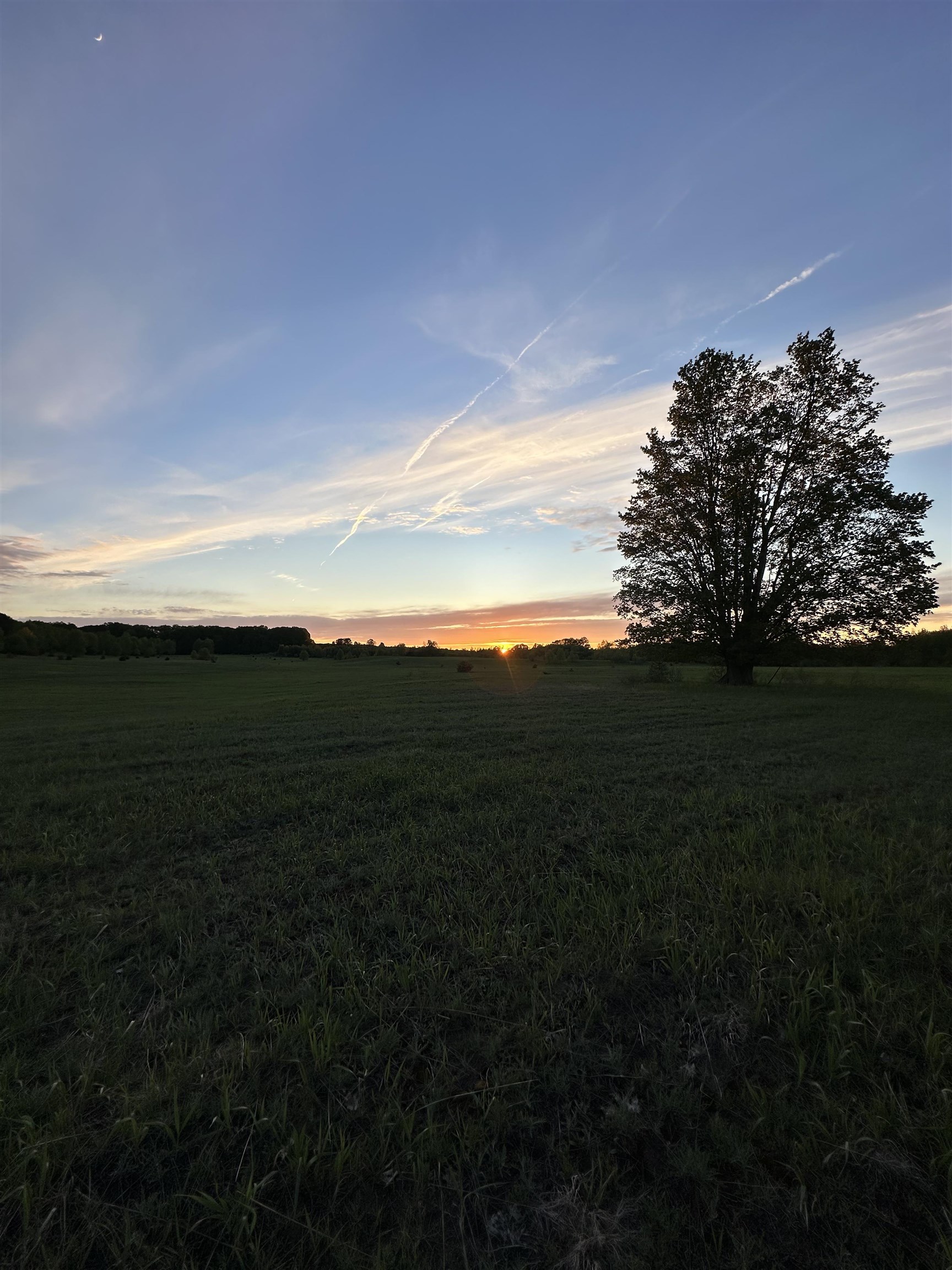 Photo 4 of Land for sale at 10 Acres V/l Honor Hwy, Interlochen, MI 49643 | MLS# 80073284 | Listing updated on 2026-09-15