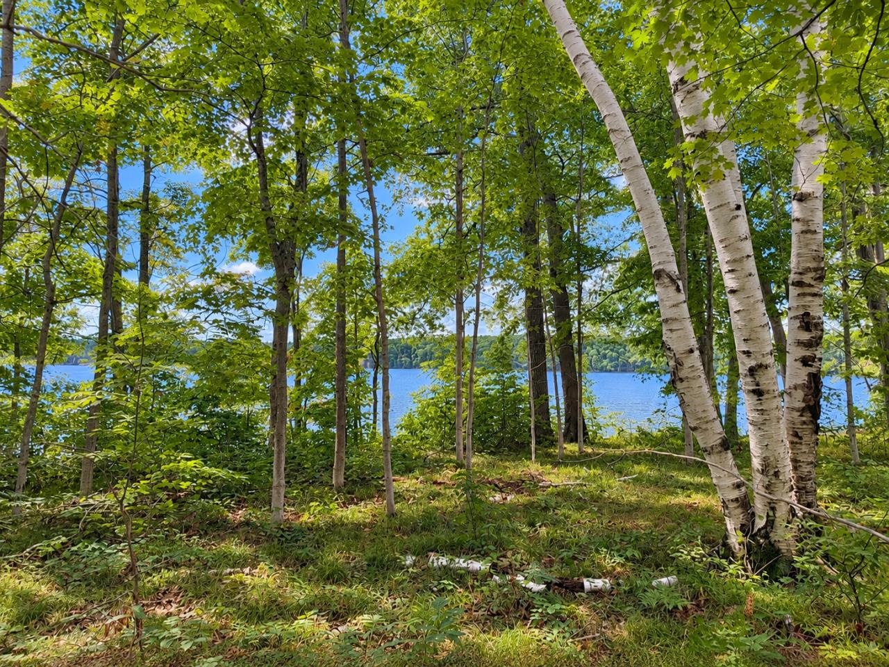 Photo 2 of Land for sale at Tbd Fox Lake Dr, Peaine Township Charlevoix, MI 49782 | MLS# 78080073381 | Listing updated on 2026-09-13