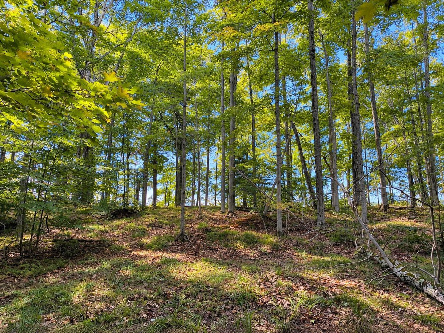 Photo 3 of Land for sale at Tbd Fox Lake Dr, Peaine Township Charlevoix, MI 49782 | MLS# 78080073381 | Listing updated on 2026-09-13