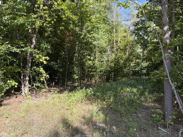 Land for sale at 000 Paradise Ridge Trl, AlmiraTownship_Benzie, MI 49684 | MLS# 78080073386