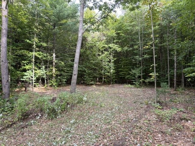 Photo 1 of Land for sale at 000 Paradise Ridge Trl, Lake Ann, MI 49684 | MLS# 80073386 | Listing updated on 2026-10-05