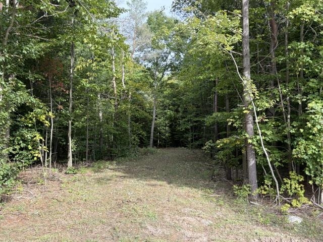 Photo 2 of Land for sale at 000 Paradise Ridge Trl, Lake Ann, MI 49684 | MLS# 80073386 | Listing updated on 2026-10-05
