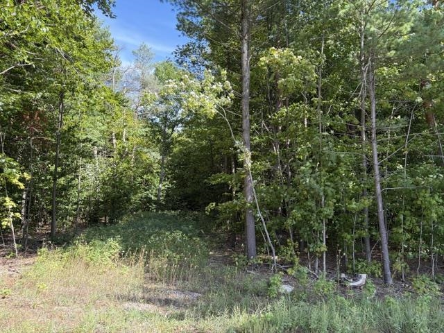 Photo 2 of Land for sale at 000 Paradise Ridge Trl, Almira Township Benzie, MI 49684 | MLS# 78080073386 | Listing updated on 2026-09-17