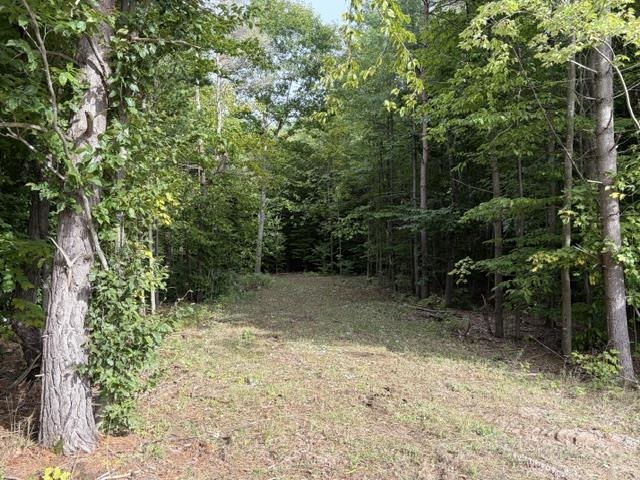 Photo 3 of Land for sale at 000 Paradise Ridge Trl, Lake Ann, MI 49684 | MLS# 80073386 | Listing updated on 2026-10-05