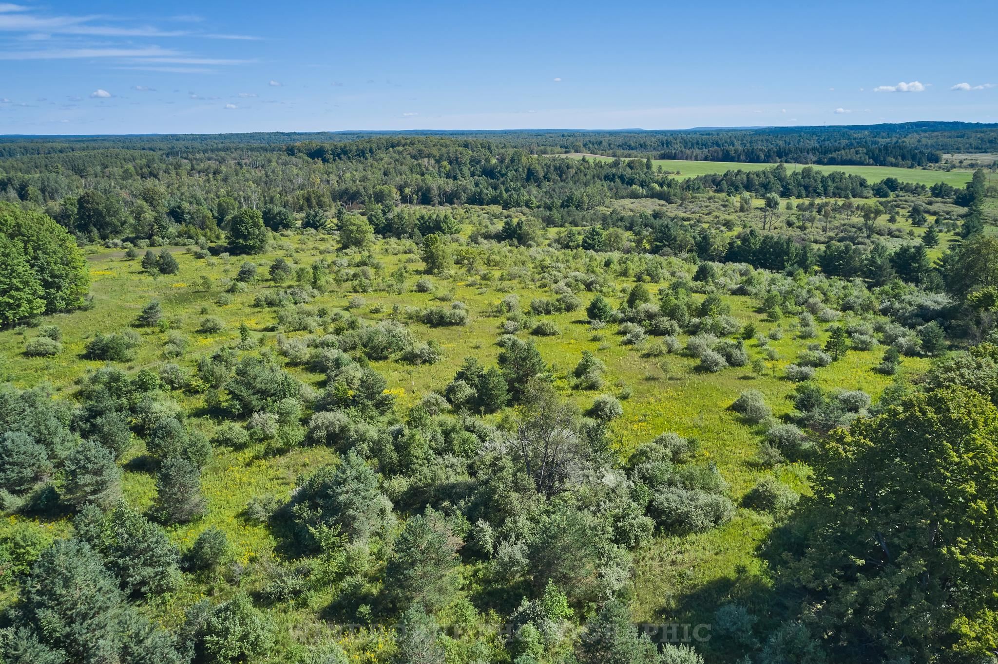 Photo 2 of Land for sale at 2343 N Acres 35 Rd, Greenwood Township Wexford, MI 49663 | MLS# 78080073445 | Listing updated on 2026-09-28