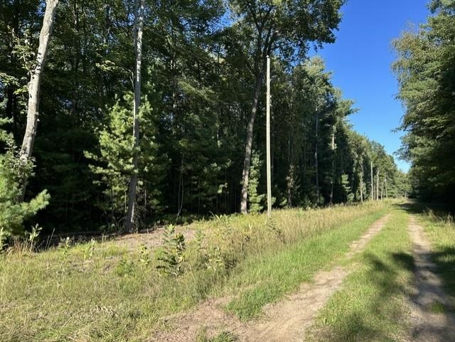 Photo 3 of Land for sale at Trail E On End Of Washington St, Baldwin Township Iosco, MI 48730 | MLS# 77080073475 | Listing updated on 2026-09-18