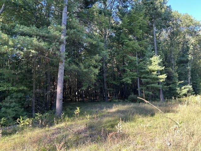 Photo 4 of Land for sale at Trail E On End Of Washington St, Baldwin Township Iosco, MI 48730 | MLS# 77080073475 | Listing updated on 2026-09-18
