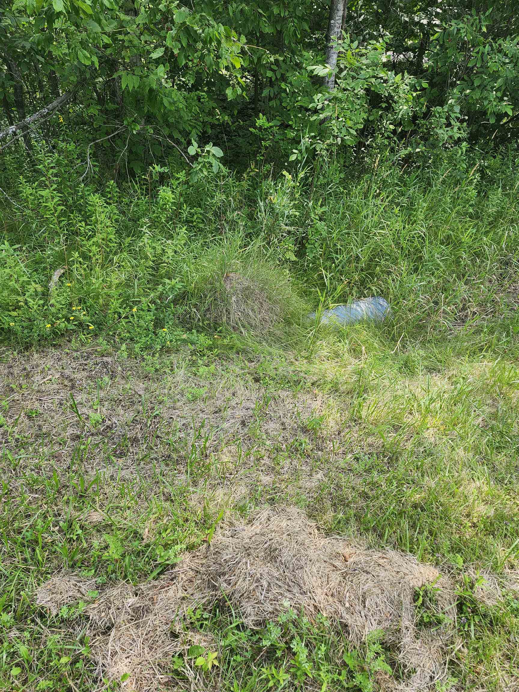 Photo 1 of Land for sale at 2751 Boughner Lake Rd, Prescott, MI 48756 | MLS# 77080073479 | Listing updated on 2026-09-17