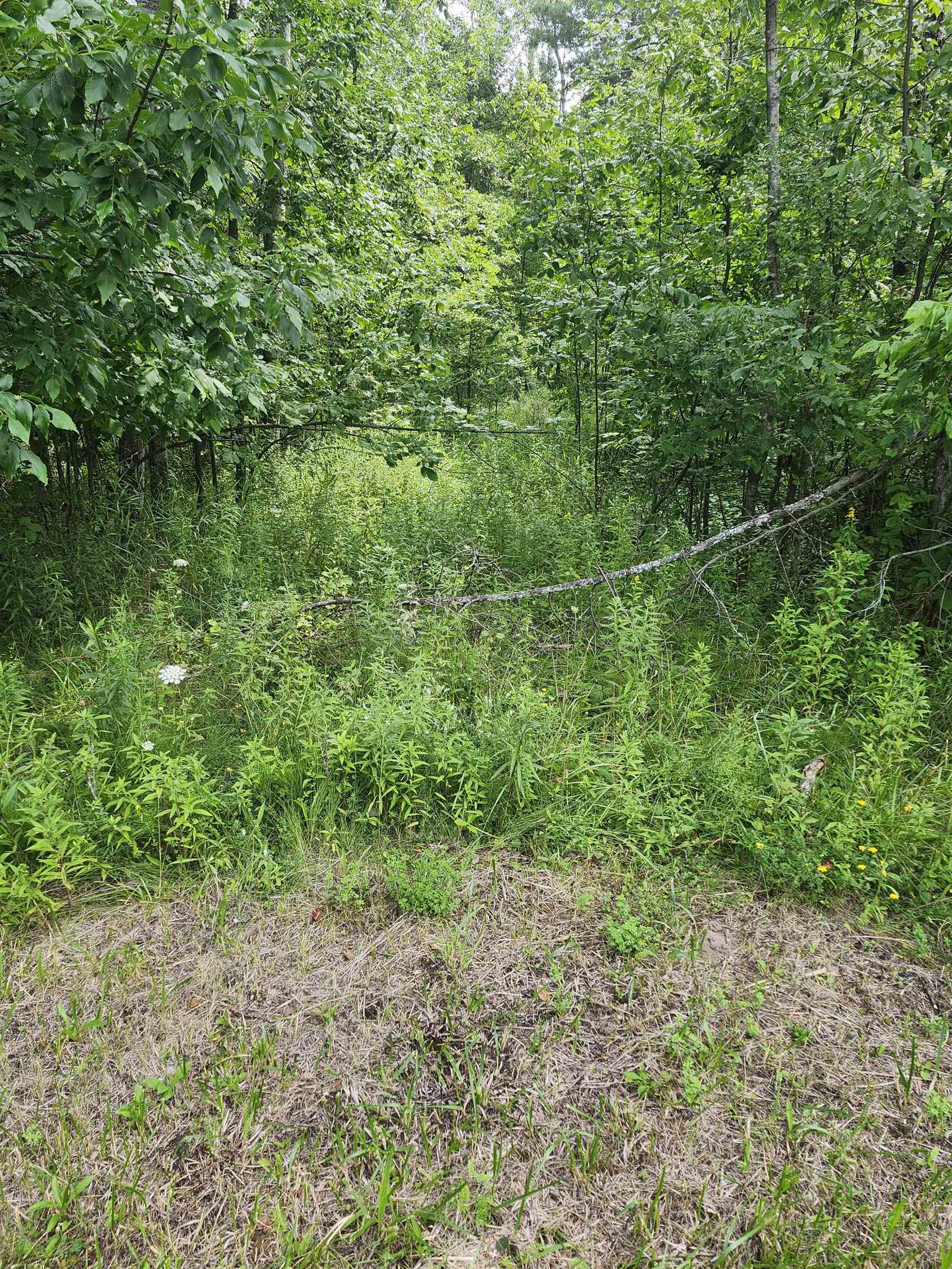 Photo 2 of Land for sale at 2751 Boughner Lake Rd, Prescott, MI 48756 | MLS# 77080073479 | Listing updated on 2026-09-17