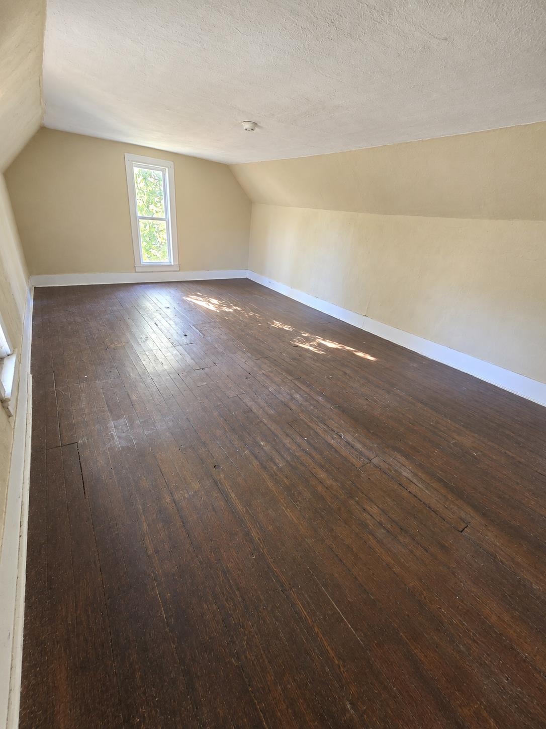 Photo 21 of Single family home for sale at 321 Ely St, Alma, MI 48801 | MLS# 80073483 | Listing updated on 2026-09-12
