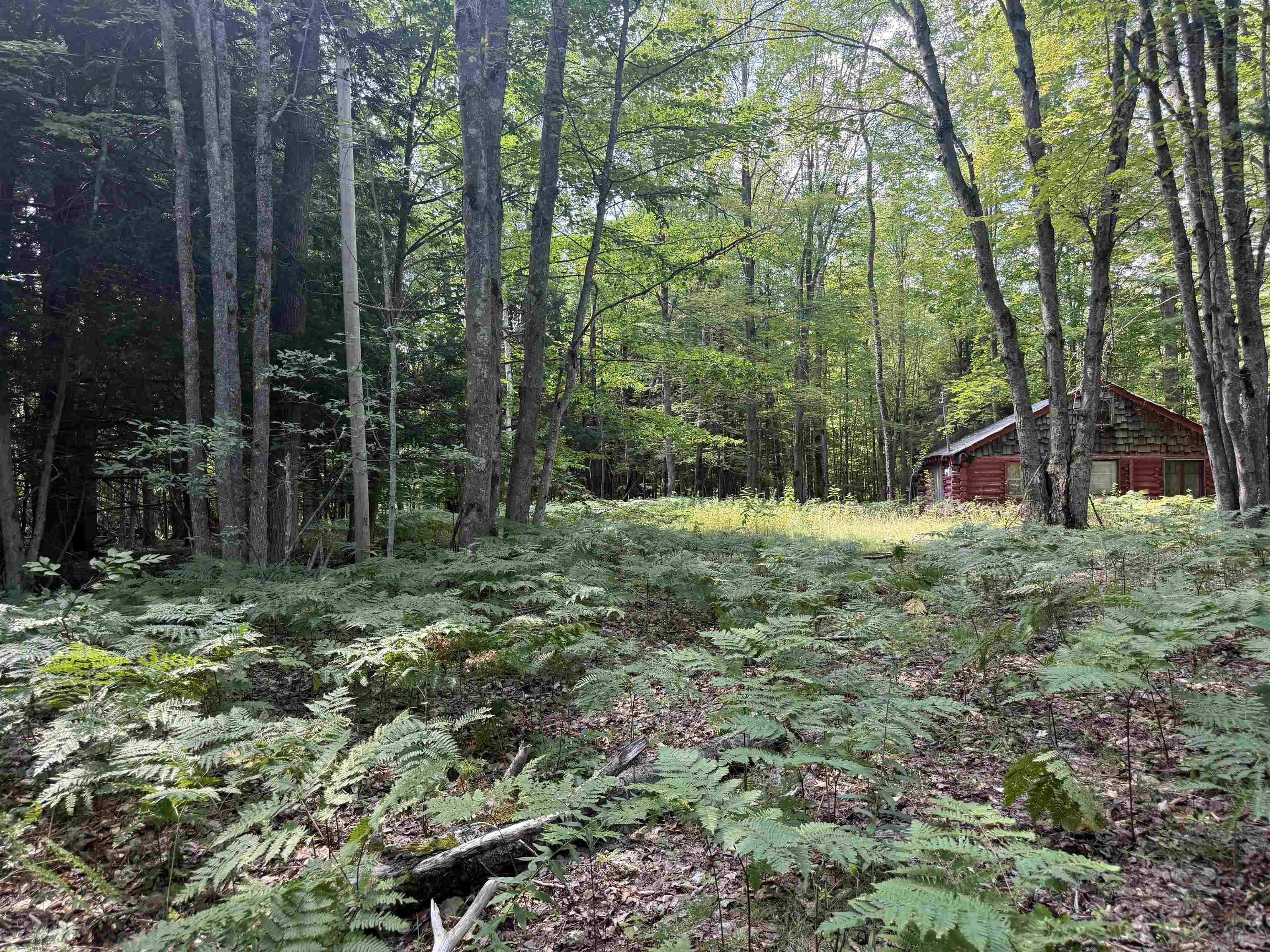 Land for sale at 11712 Henschell Rd, Fife Lake, MI 49633 | MLS# 78080073502