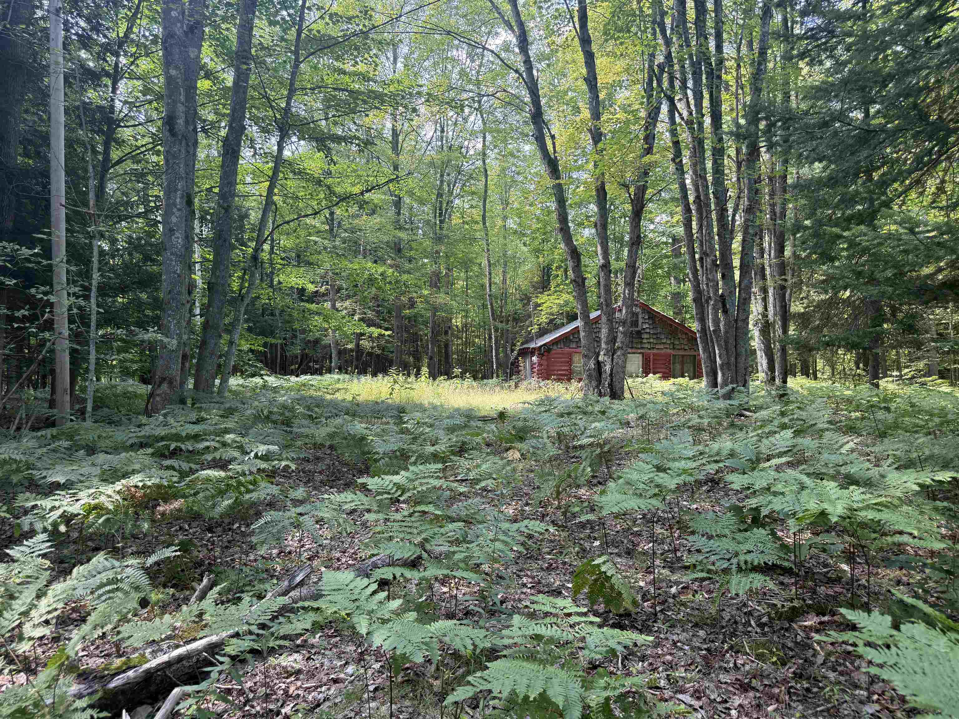 Photo 4 of Land for sale at 11712 Henschell Rd, Fife Lake, MI 49633 | MLS# 78080073502 | Listing updated on 2026-09-17