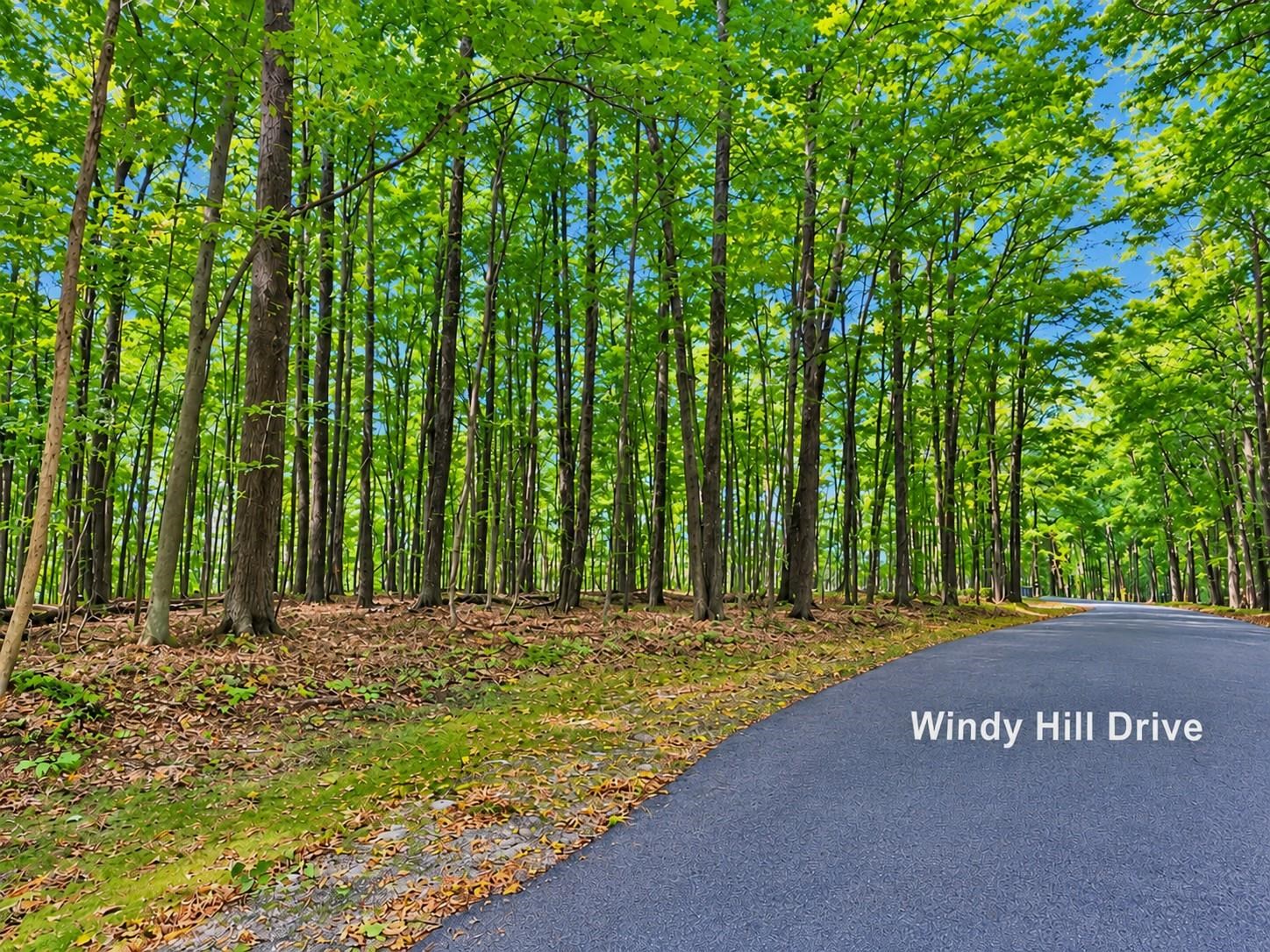 Photo 3 of Land for sale at 00 Windy Hl Dr, Bellaire, MI 49615 | MLS# 78080073525 | Listing updated on 2026-09-17
