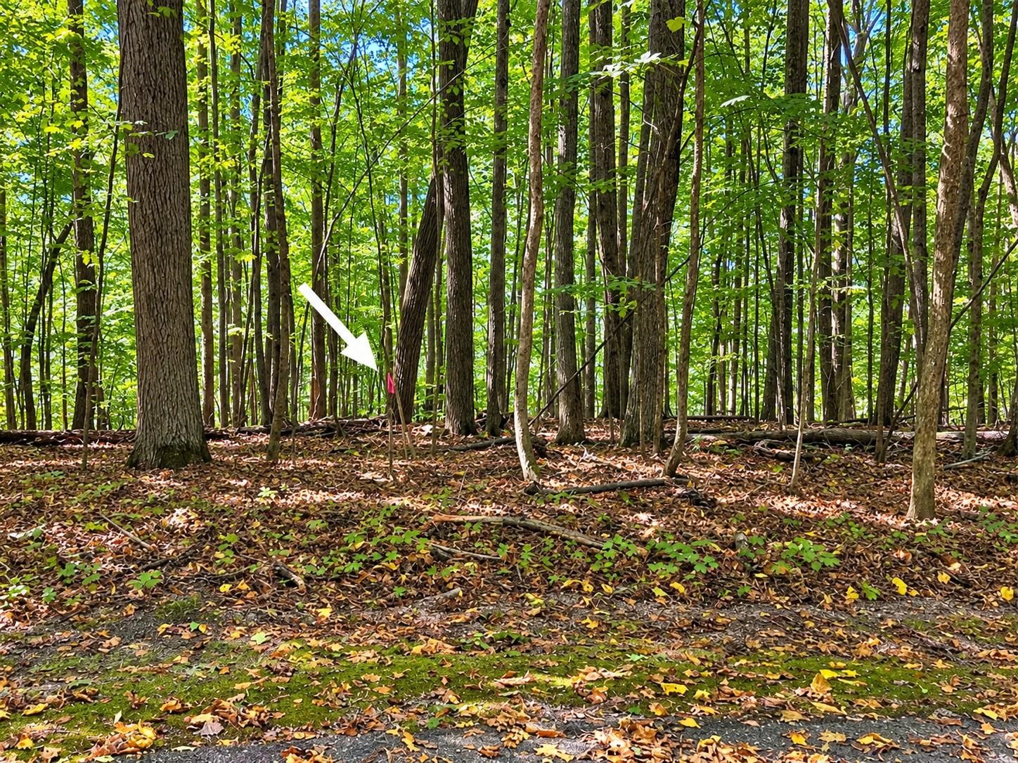 Photo 4 of Land for sale at 00 Windy Hl Dr, Bellaire, MI 49615 | MLS# 78080073525 | Listing updated on 2026-09-17