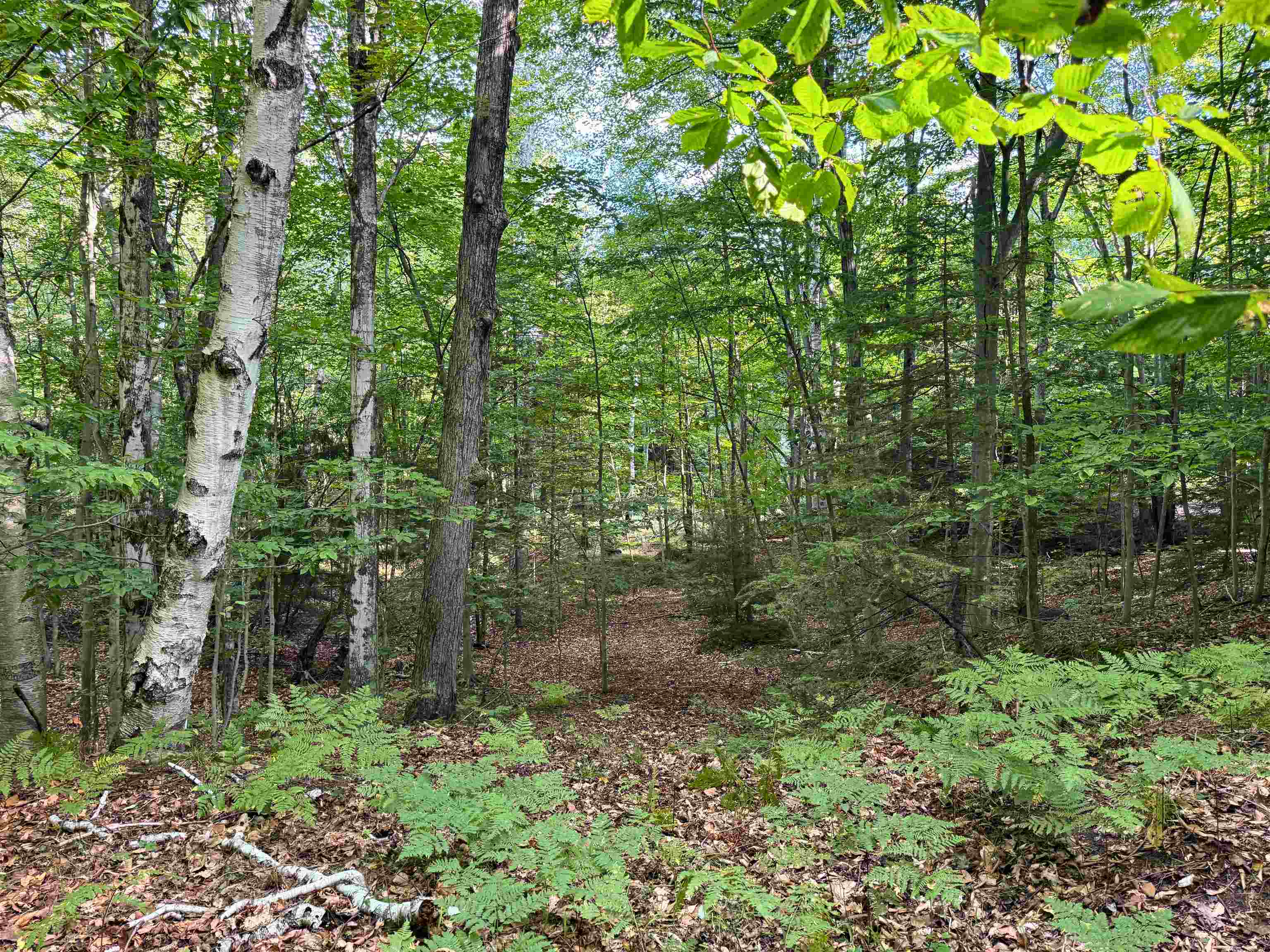 Photo 1 of Land for sale at 0 Us 31 N, Kewadin, MI 49648 | MLS# 80073531 | Listing updated on 2026-09-18