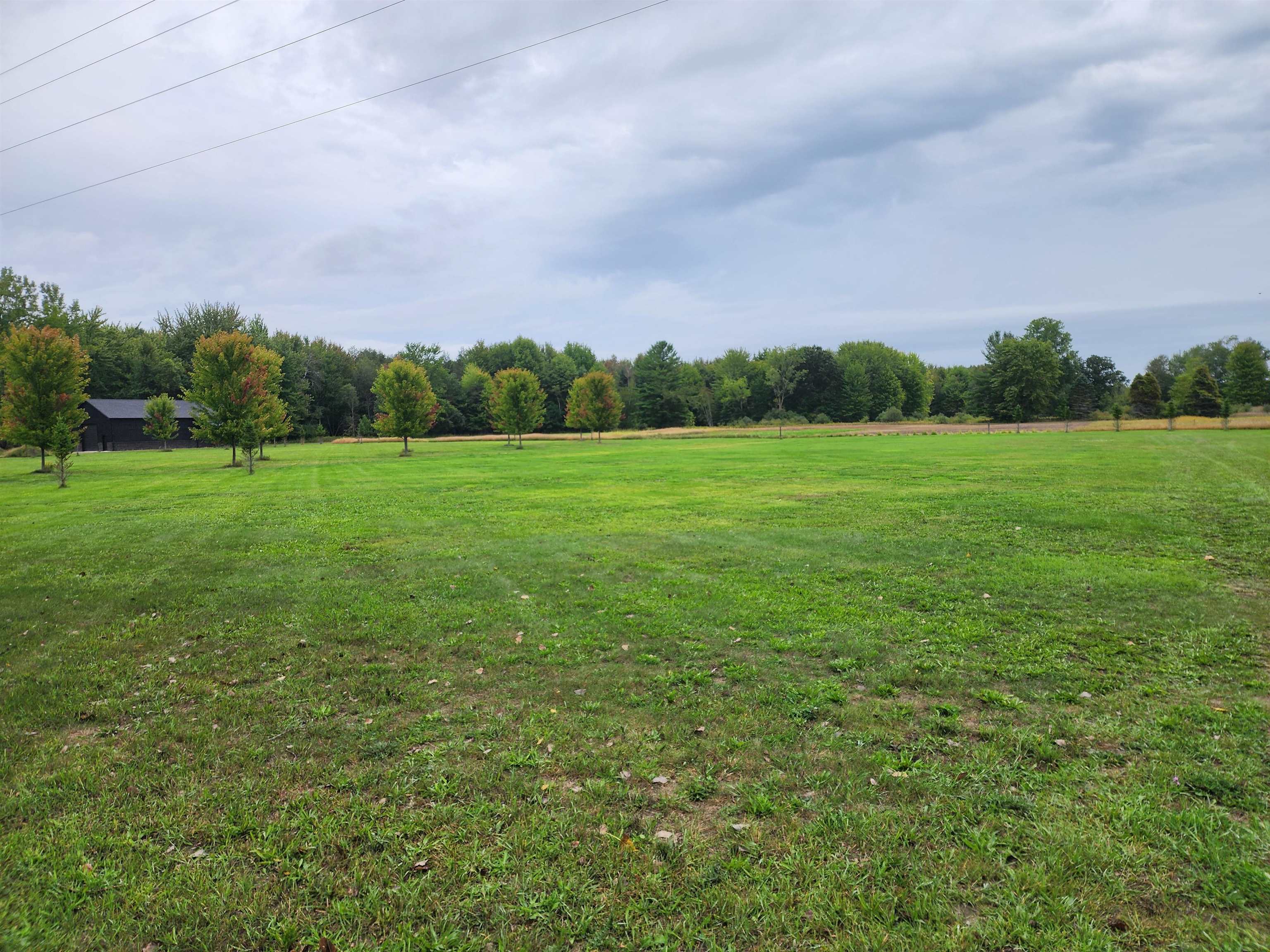 Land for sale at 1873 S Loomis Rd, Mount Pleasant, MI 48858 | MLS# 79080073548