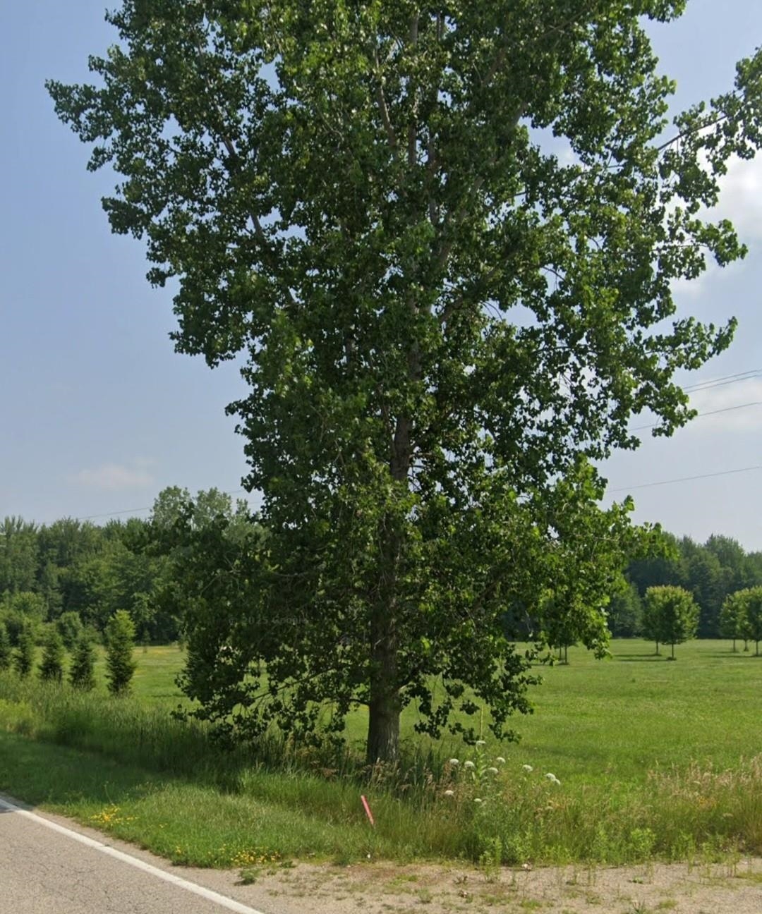 Photo 1 of Land for sale at 1873 S Loomis Rd, Mount Pleasant, MI 48858 | MLS# 79080073548 | Listing updated on 2026-09-18