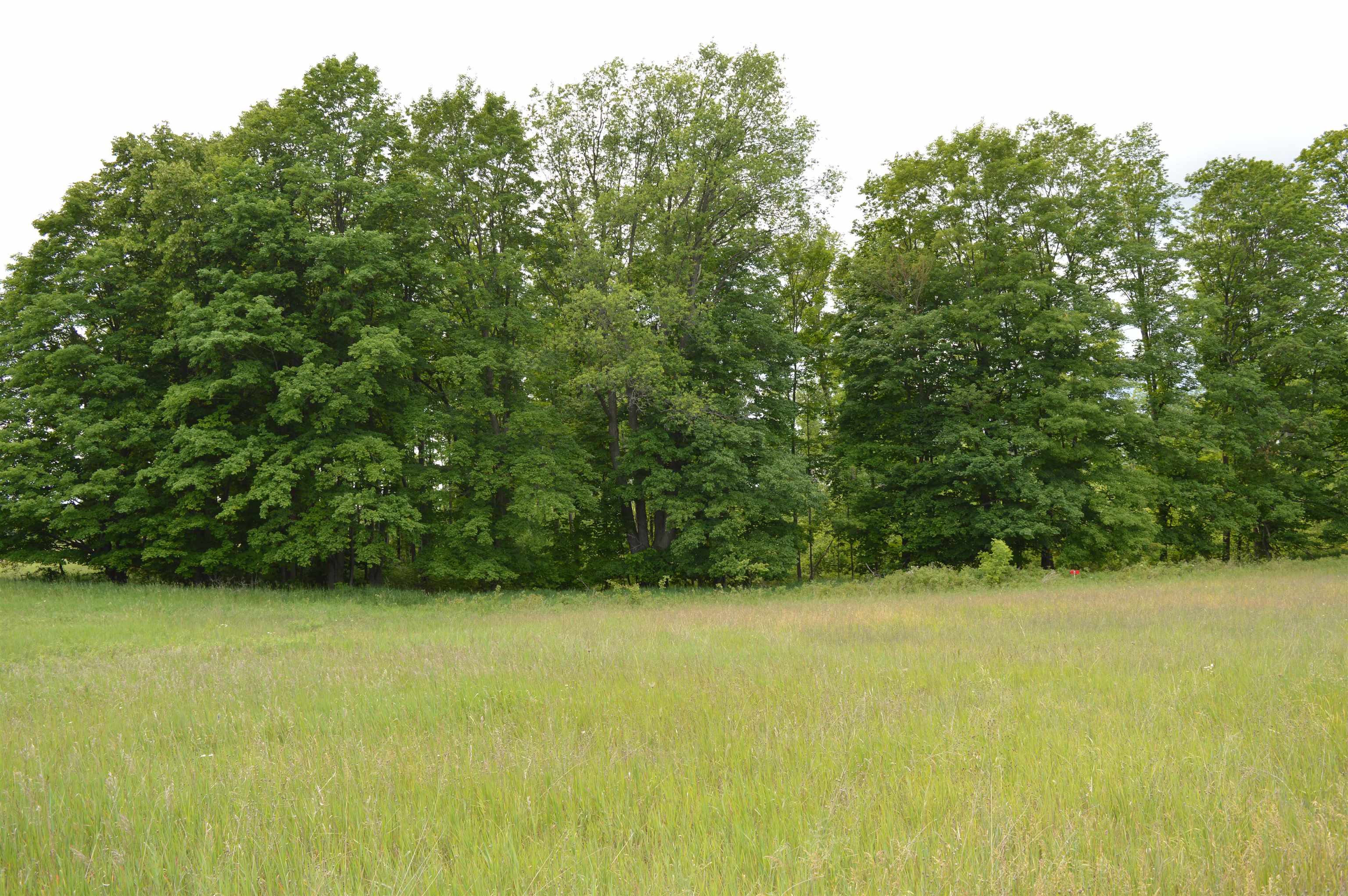 Land for sale at L Summit City Rd, Kingsley, MI 49649 | MLS# 80073550