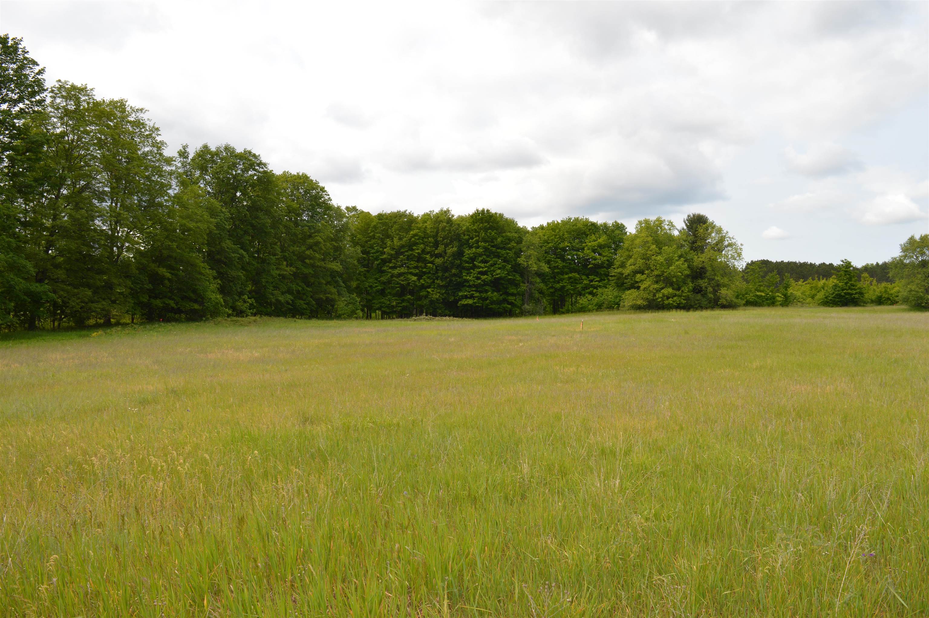 Photo 3 of Land for sale at L Summit City Rd, Kingsley, MI 49649 | MLS# 80073550 | Listing updated on 2026-09-18