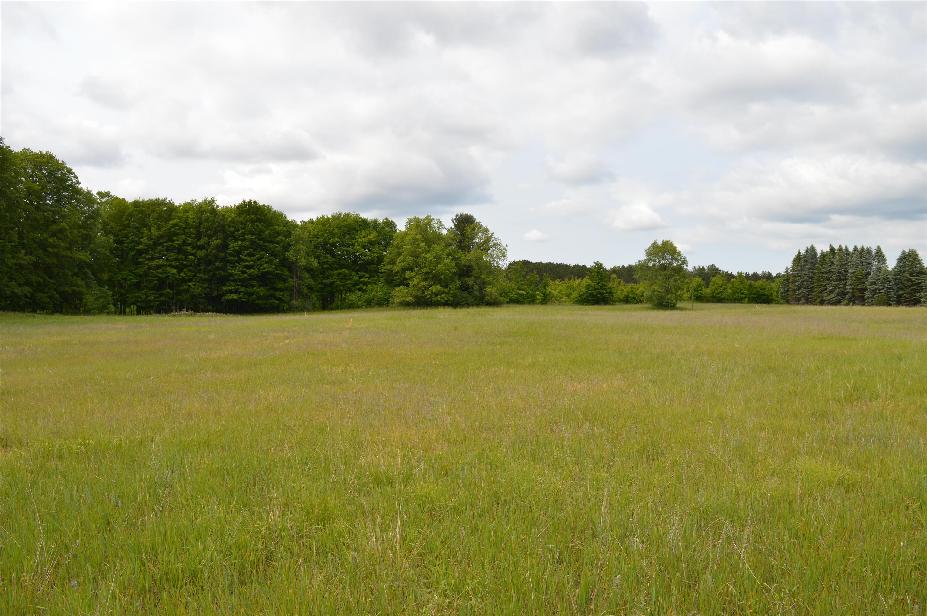 Land for sale at N Summit City Rd, Kingsley, MI 49649 | MLS# 80073559