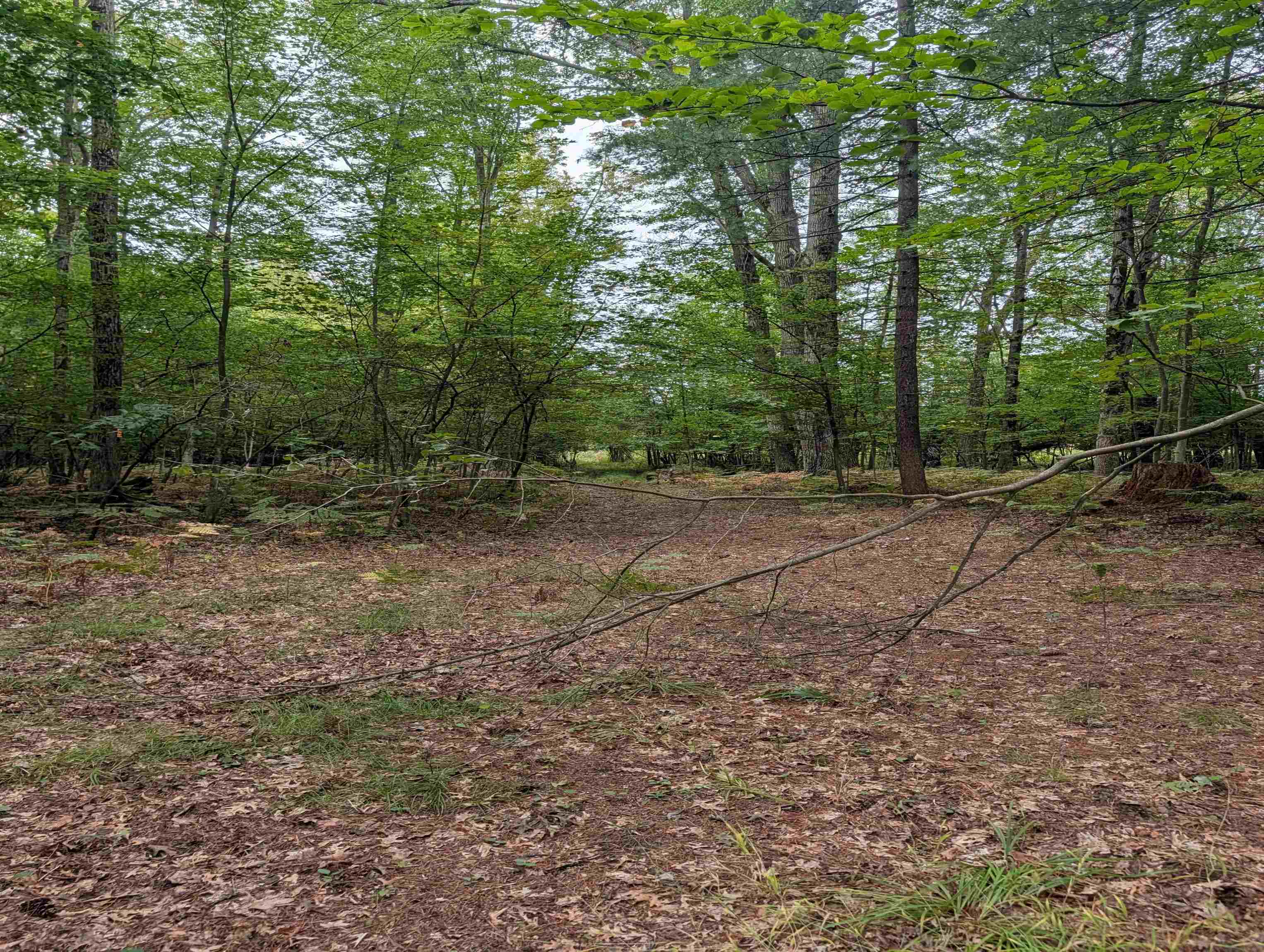 Photo 1 of Land for sale at W Huron, Arenac Township Arenac, MI 48749 | MLS# 77080073581 | Listing updated on 2026-09-19