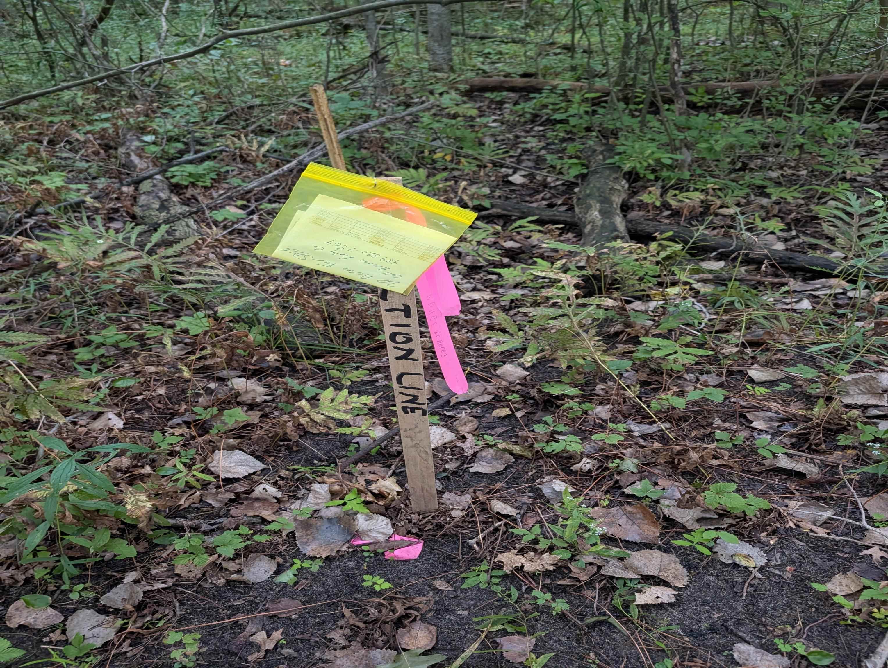 Photo 3 of Land for sale at W Huron, Arenac Township Arenac, MI 48749 | MLS# 77080073581 | Listing updated on 2026-09-19