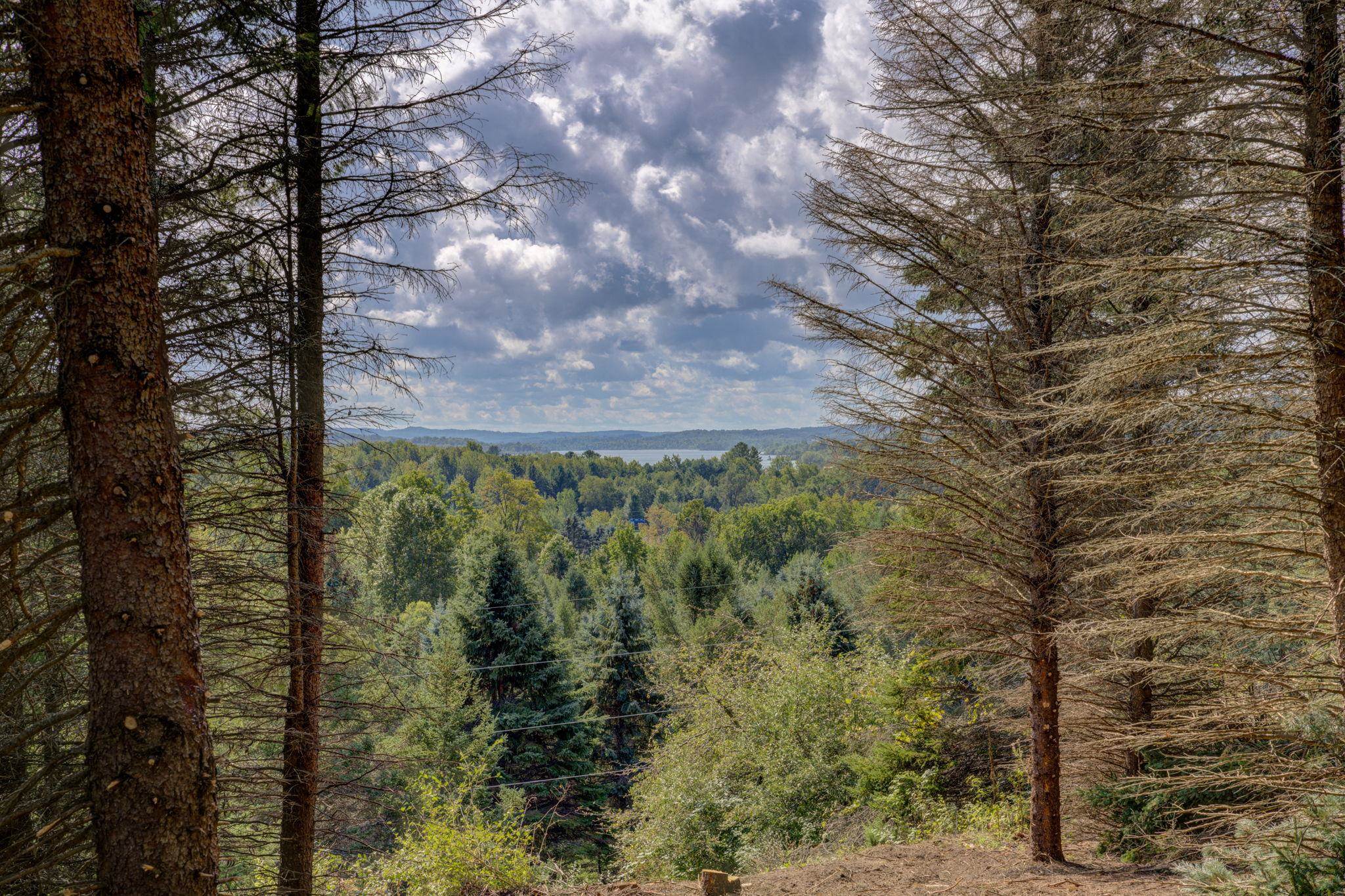 Photo 2 of Land for sale at N Eagle Hwy, Lake Leelanau, MI 49653 | MLS# 78080073583 | Listing updated on 2026-09-16