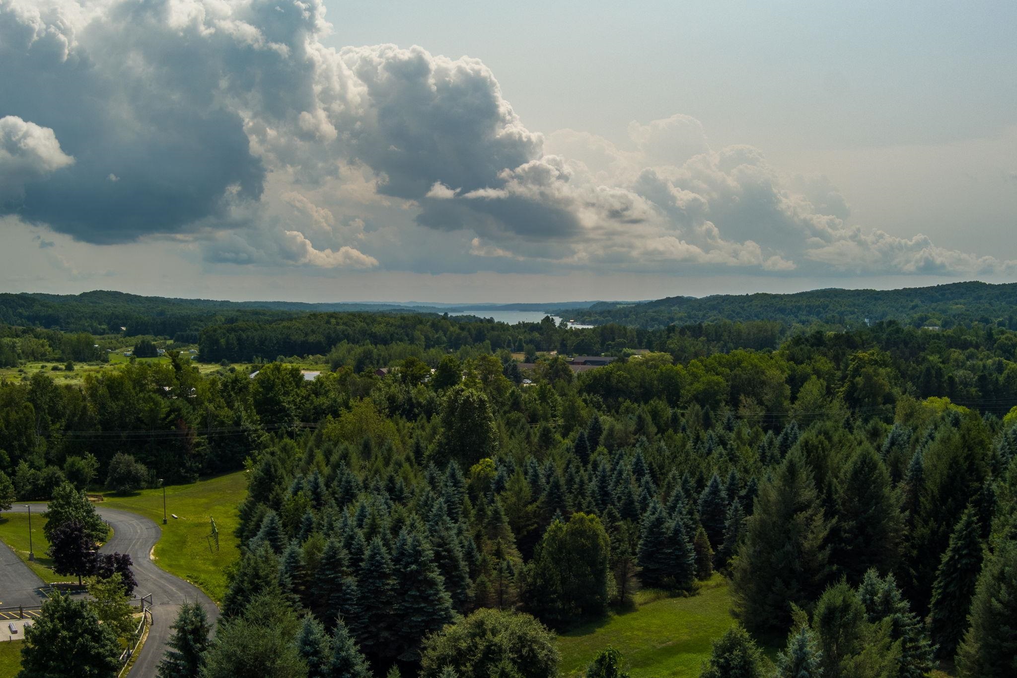 Photo 4 of Land for sale at N Eagle Hwy, Lake Leelanau, MI 49653 | MLS# 78080073583 | Listing updated on 2026-09-16