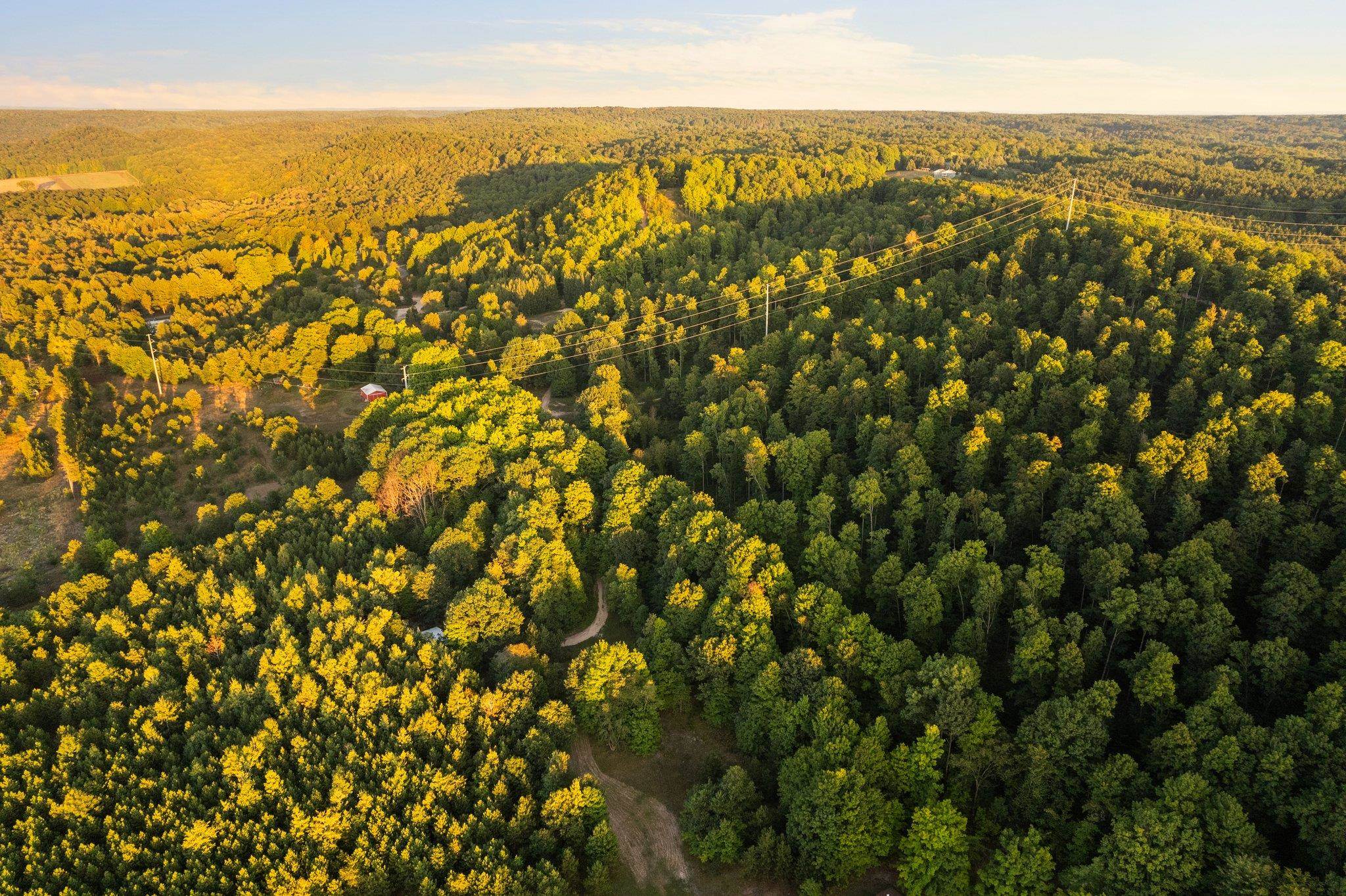 Photo 3 of Land for sale at 4202 Acres Retreats Way, Clearwater Township Kalkaska, MI 49676 | MLS# 78080073591 | Listing updated on 2026-09-16