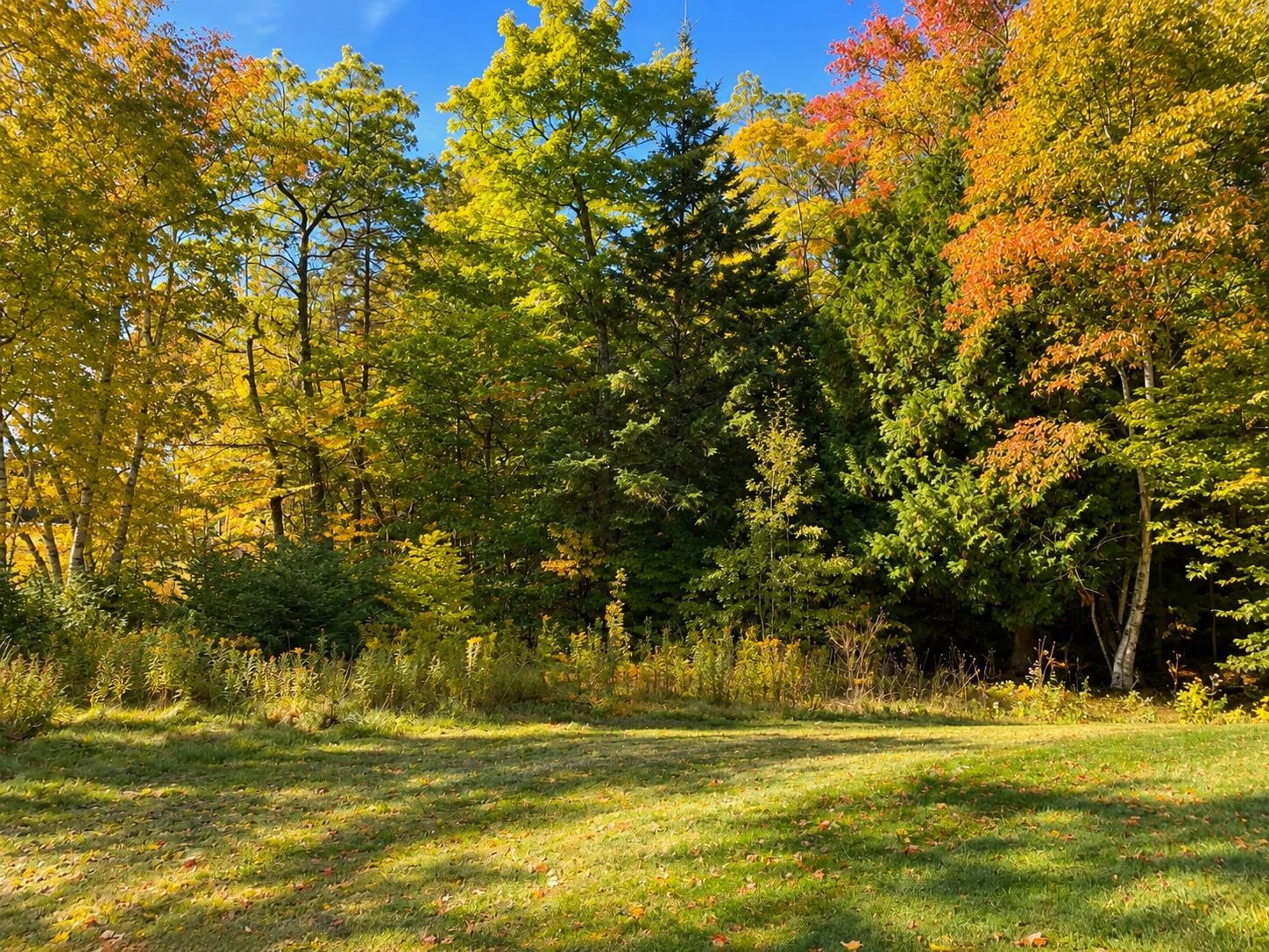 Photo 1 of Land for sale at 000 Spruceview Ln, Mackinac Island, MI 49757 | MLS# 78080073604 | Listing updated on 2026-09-19