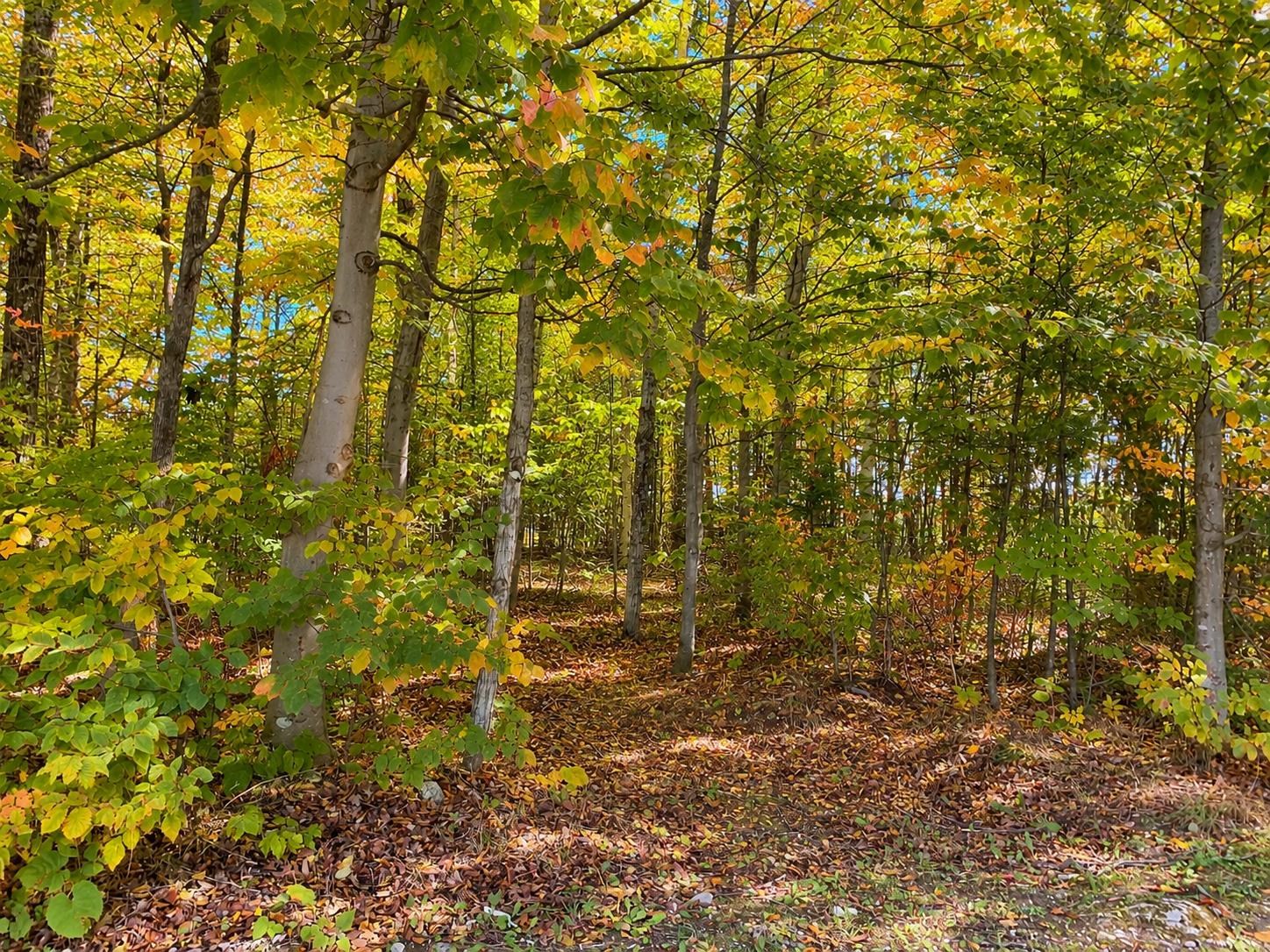Photo 1 of Land for sale at 3930 Spruceview Ln, Mackinac Island, MI 49757 | MLS# 80073605 | Listing updated on 2026-09-19
