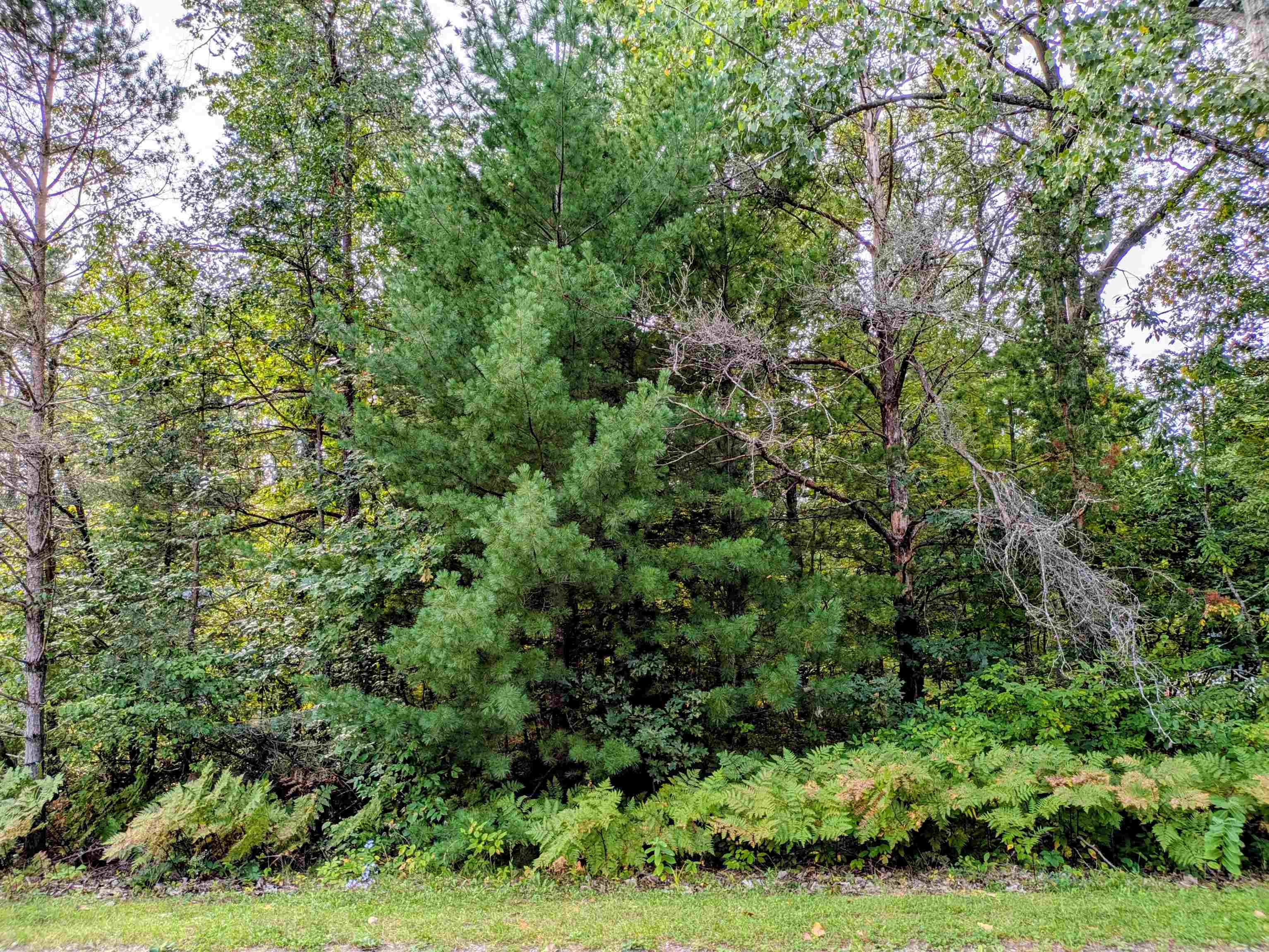 Photo 1 of Land for sale at S Forest Lake Dr, Moffatt Township Arenac, MI 48610 | MLS# 77080073615 | Listing updated on 2026-09-19