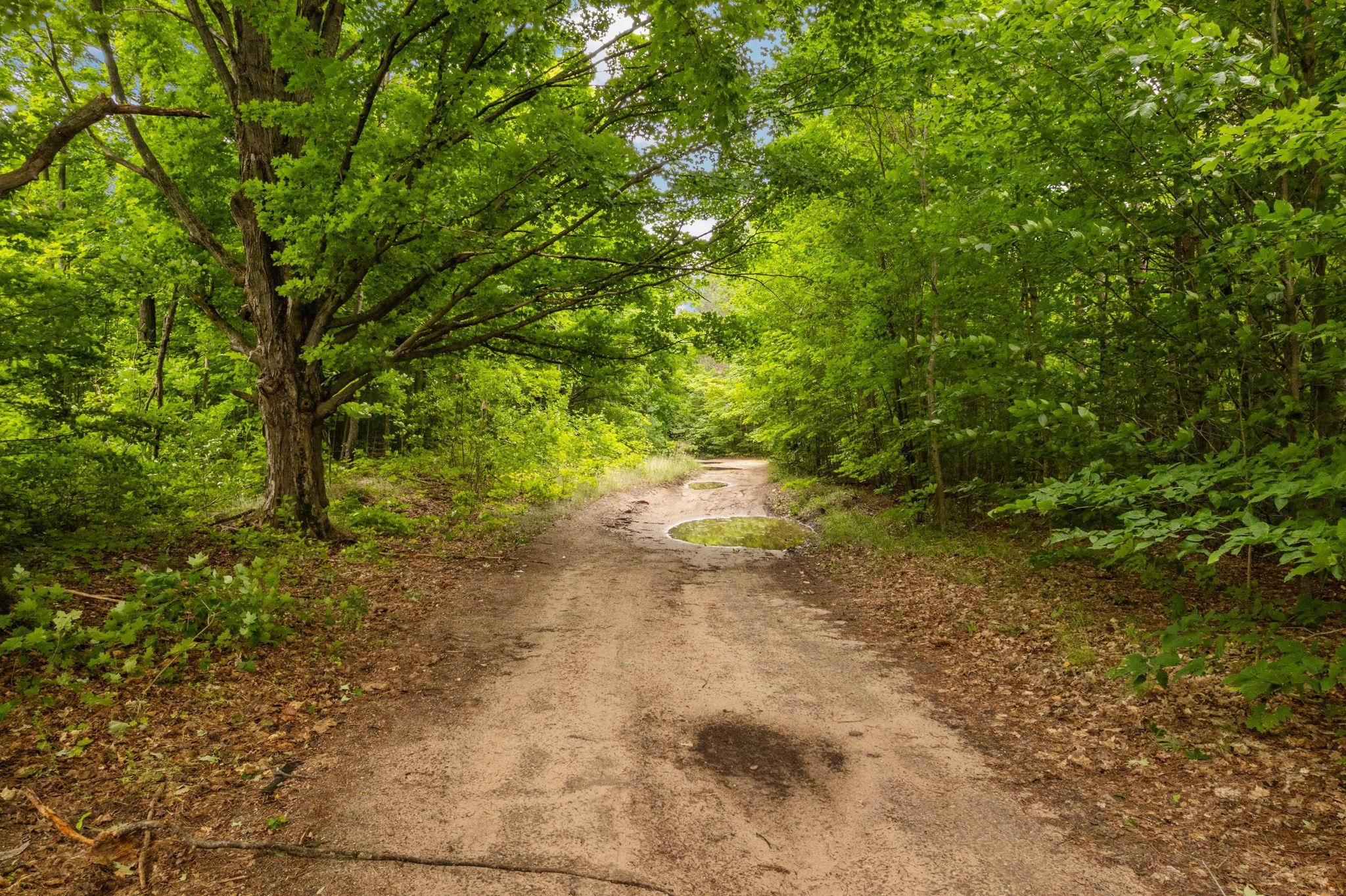 Photo 4 of Land for sale at Parcel B Garn Rd, Traverse City, MI 49685 | MLS# 80073635 | Listing updated on 2026-09-20