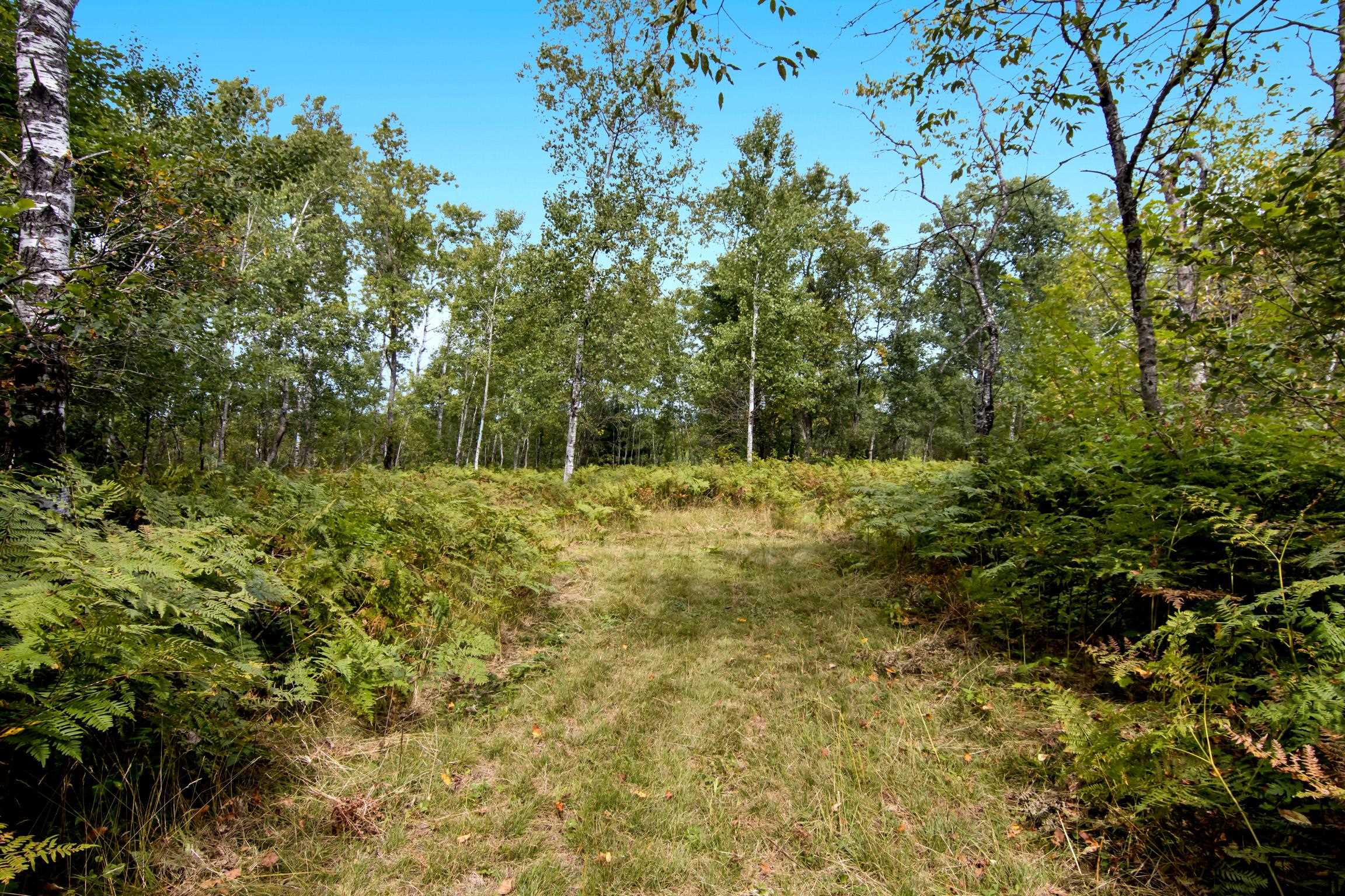 Photo 4 of Land for sale at 11533 Berry Ln, Mancelona, MI 49659 | MLS# 78080073644 | Listing updated on 2026-09-20
