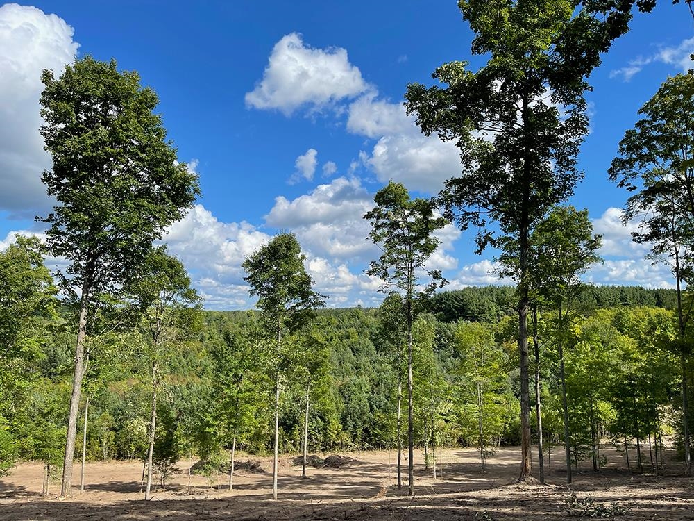 Photo 3 of Land for sale at 5142 Paradise Ranch, Kingsley, MI 49649 | MLS# 80073718 | Listing updated on 2026-09-19