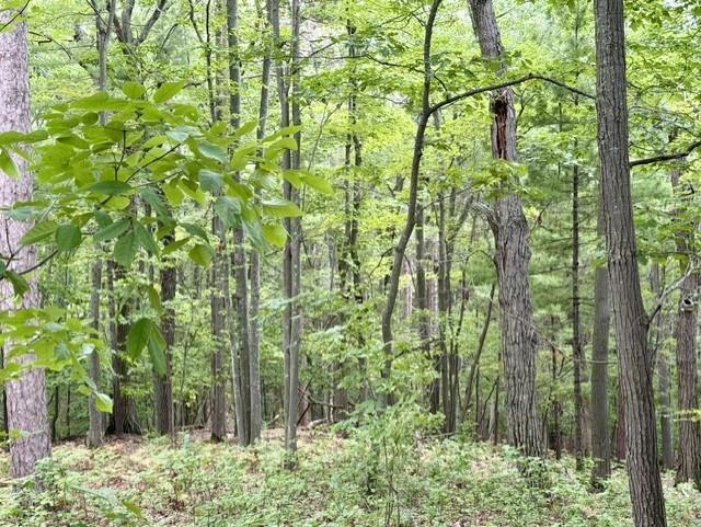 Photo 2 of Land for sale at 35 Brk Hl Cottages, Glen Arbor, MI 49636 | MLS# 78080073719 | Listing updated on 2026-09-22