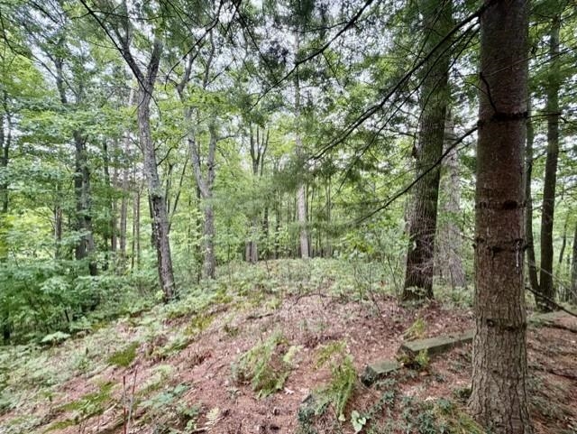 Photo 3 of Land for sale at 35 Brk Hl Cottages, Glen Arbor, MI 49636 | MLS# 78080073719 | Listing updated on 2026-09-22