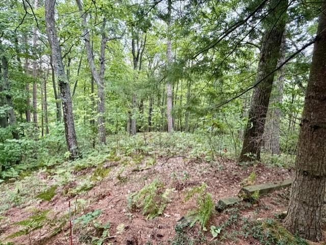 Photo 3 of Land for sale at 35 Brk Hl Cottages, Glen Arbor, MI 49636 | MLS# 78080073719 | Listing updated on 2026-09-22