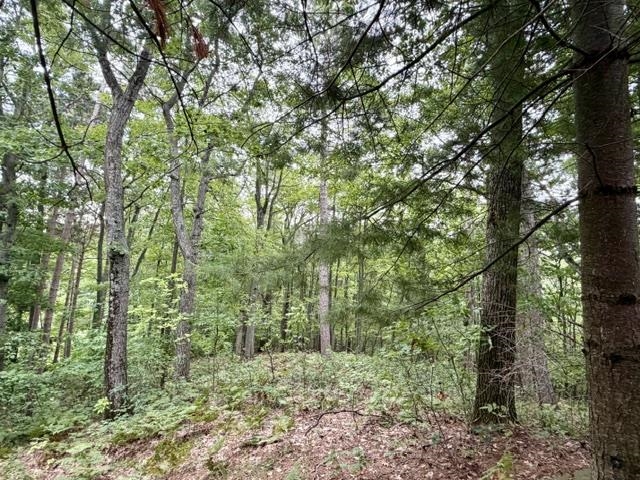 Photo 4 of Land for sale at 35 Brk Hl Cottages, Glen Arbor, MI 49636 | MLS# 78080073719 | Listing updated on 2026-09-22