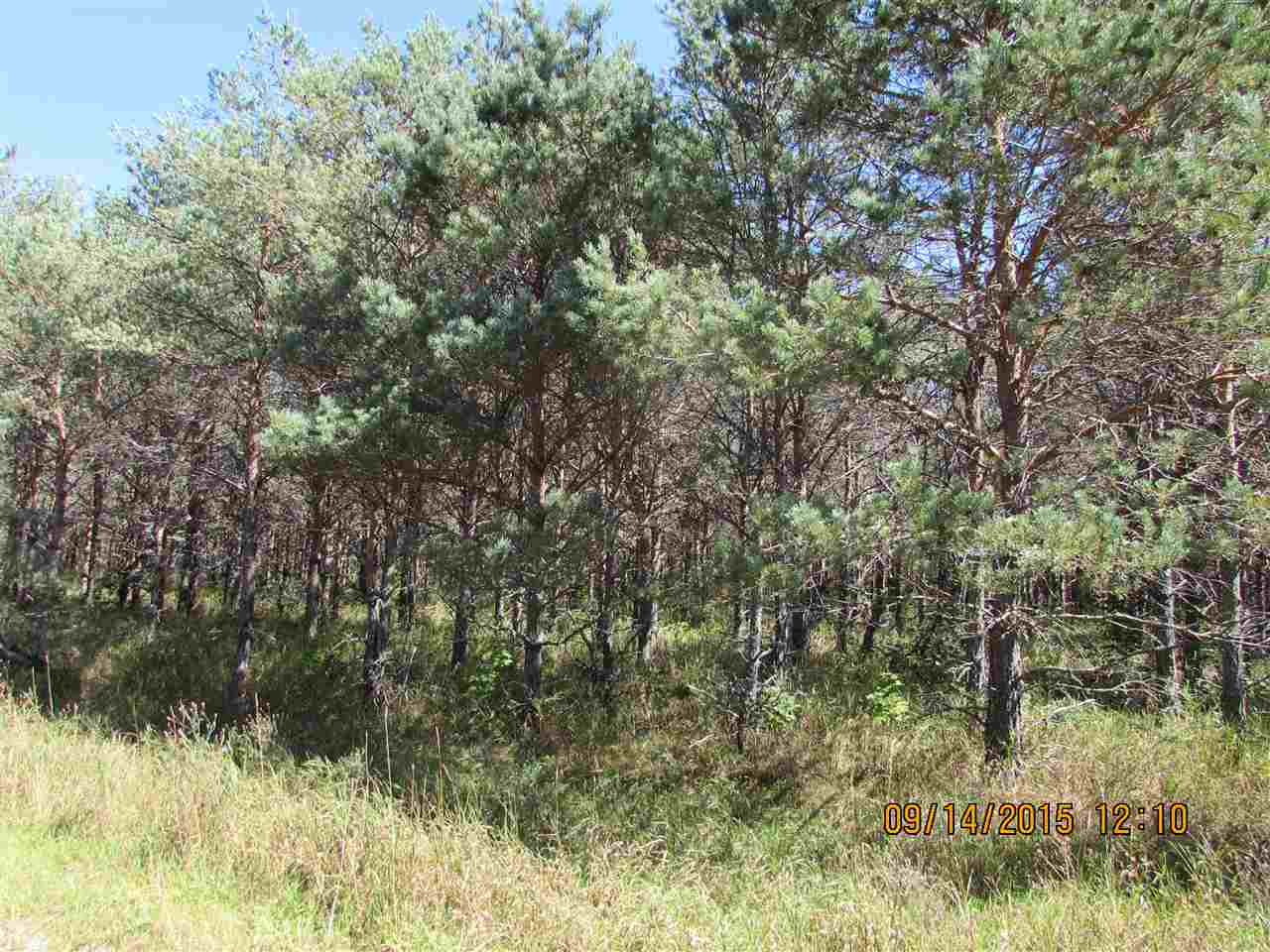 Photo 3 of Land for sale at 371 Kleehammer Clb Dr, Kalkaska, MI 49646 | MLS# 78080073777 | Listing updated on 2026-09-24