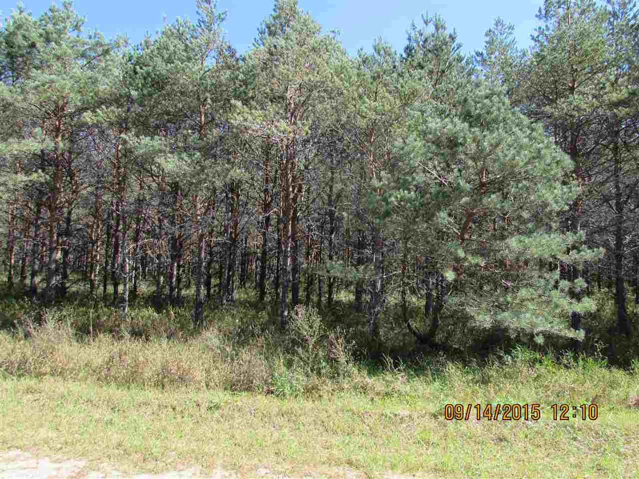 Photo 3 of Land for sale at 371 Kleehammer Clb Dr, Kalkaska, MI 49646 | MLS# 78080073777 | Listing updated on 2026-09-24
