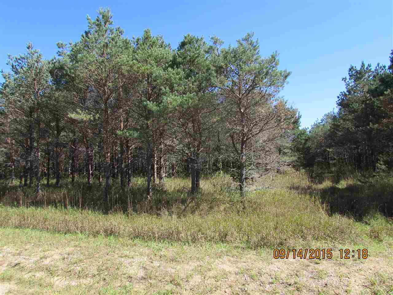 Photo 3 of Land for sale at 431 Kleehammer Clb Dr, Kalkaska, MI 49646 | MLS# 78080073778 | Listing updated on 2026-09-24